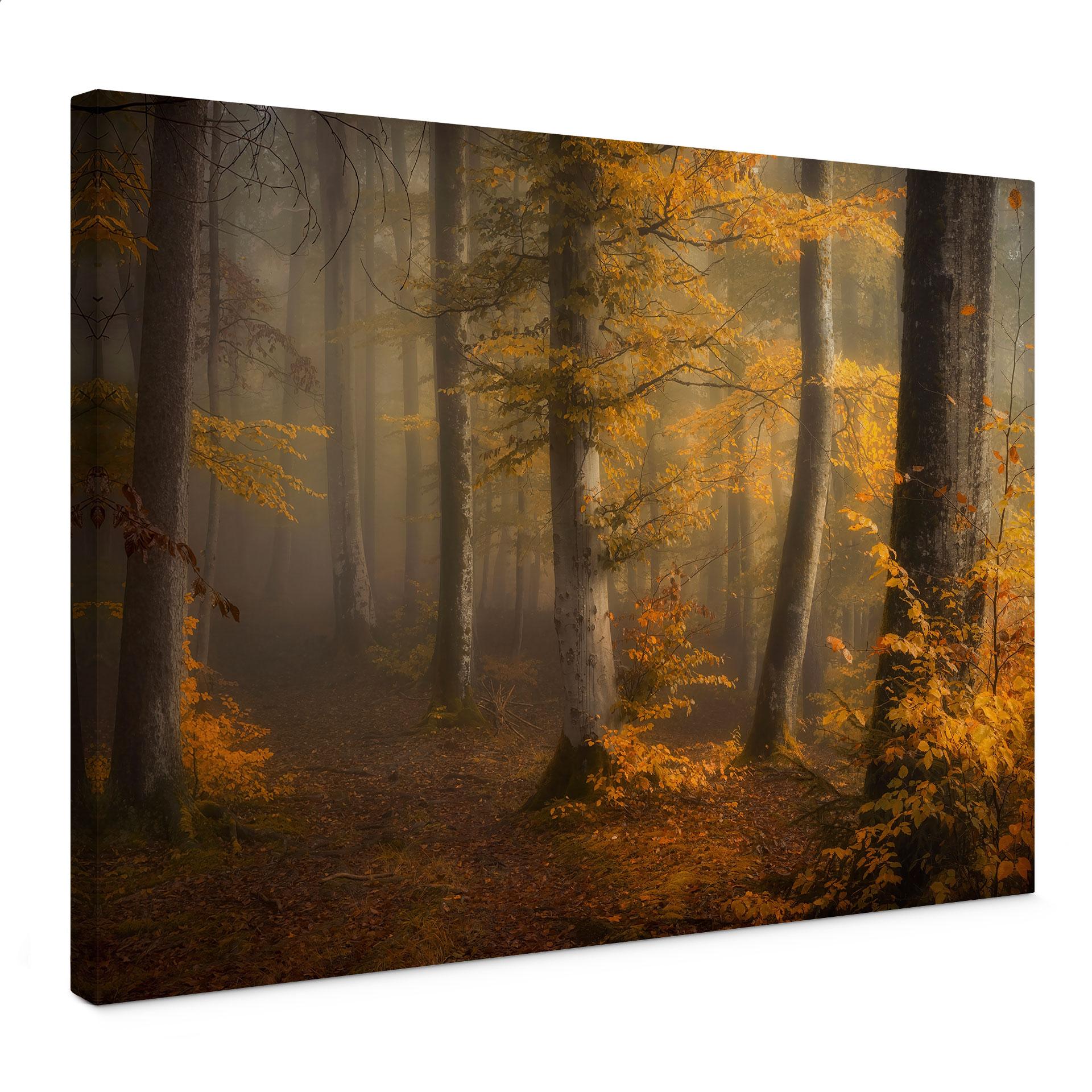 Canvasbillede Gyldne blade i en tåget skov - Maier