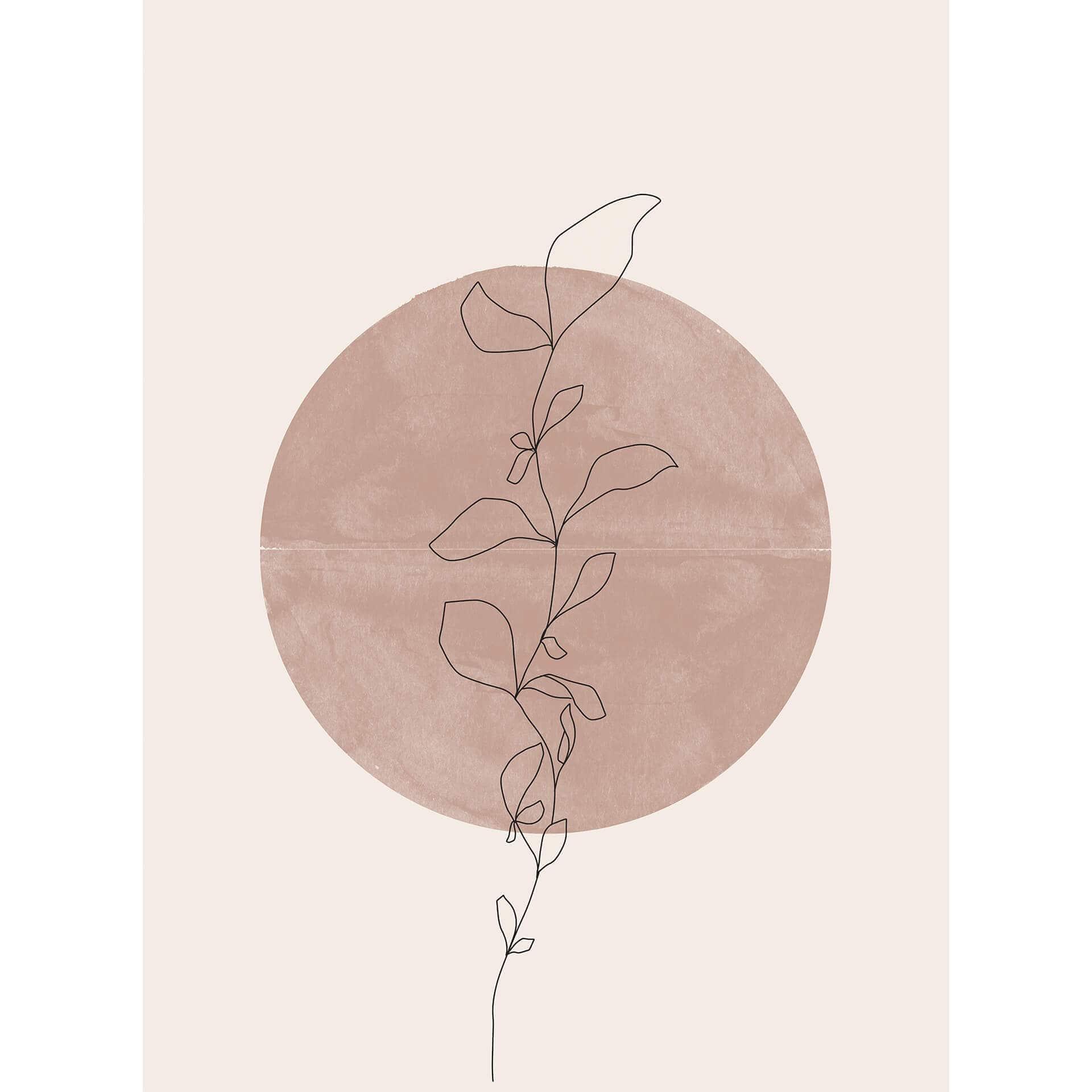 Fotobehang Miuus Studio - Line Art - Abstracte Plant bij Volle Maan