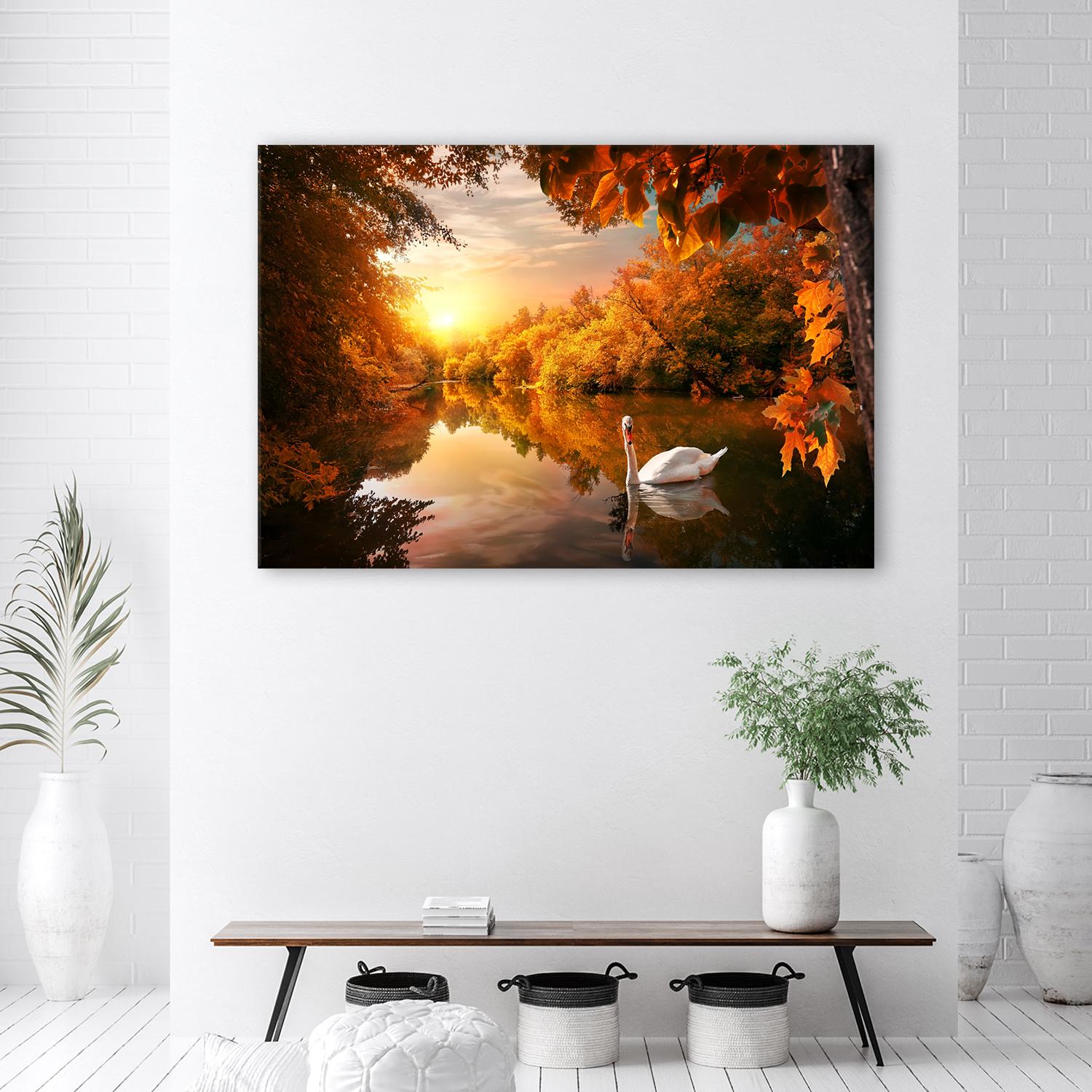 Canvasbillede, Svane på en dam efterår