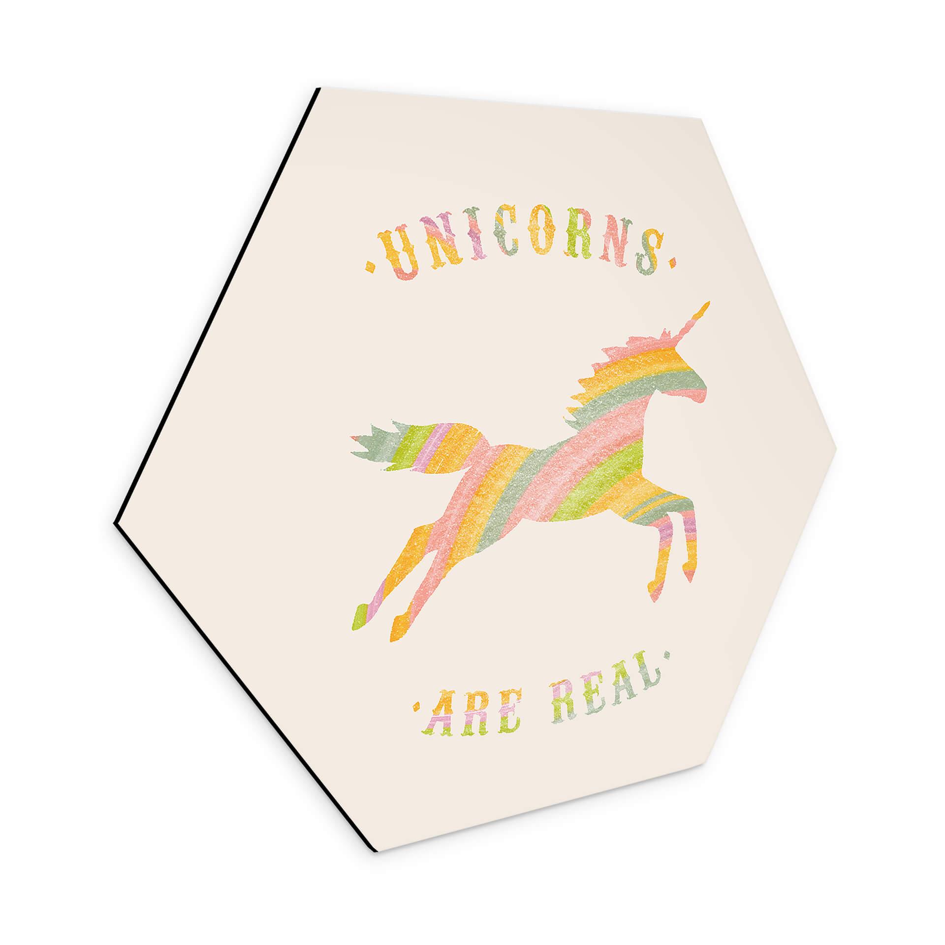 Hexagon Dibond Bodart - Unicorns are Real