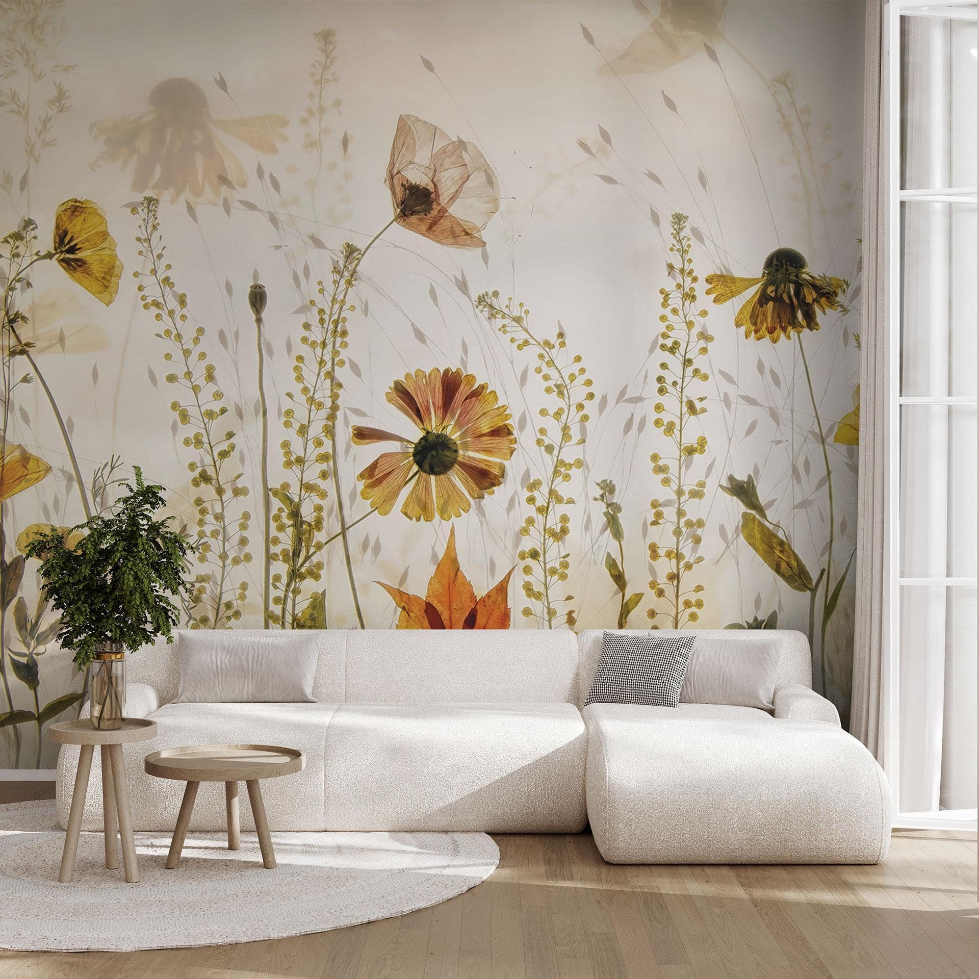 Vilde engblomster i sollys | Blomstertapet - Talen
