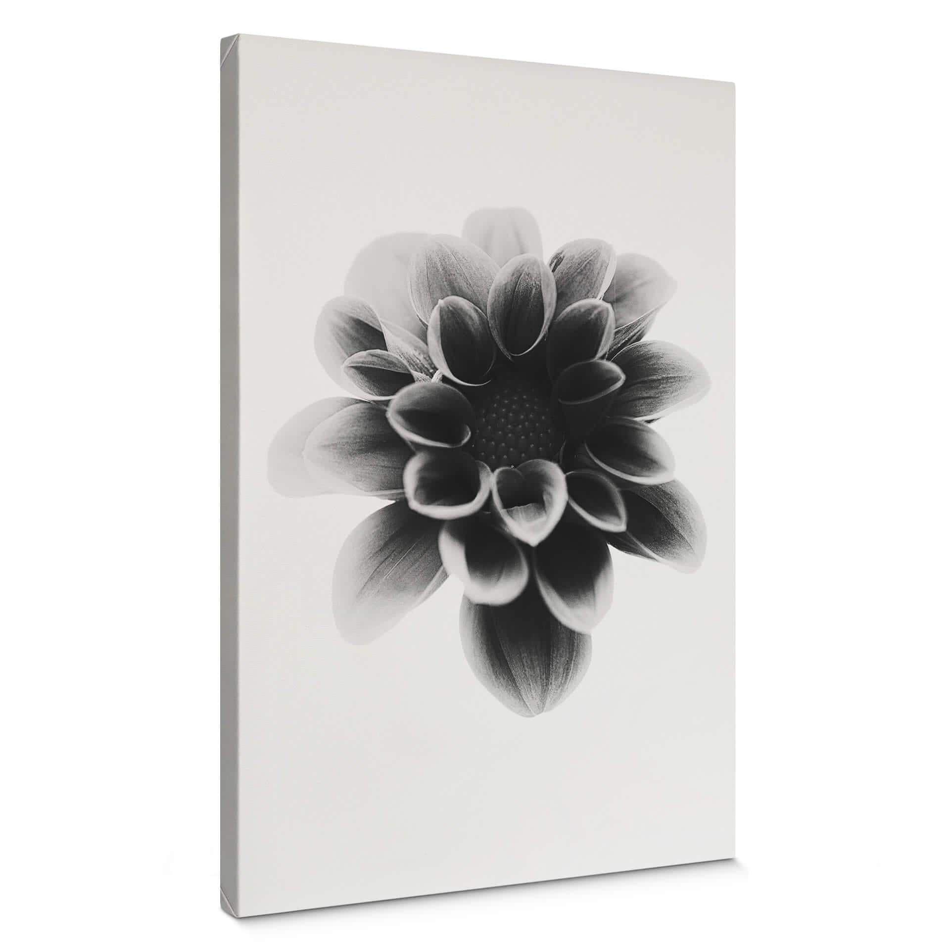 Canvastavla Grønkjær - Dahlia