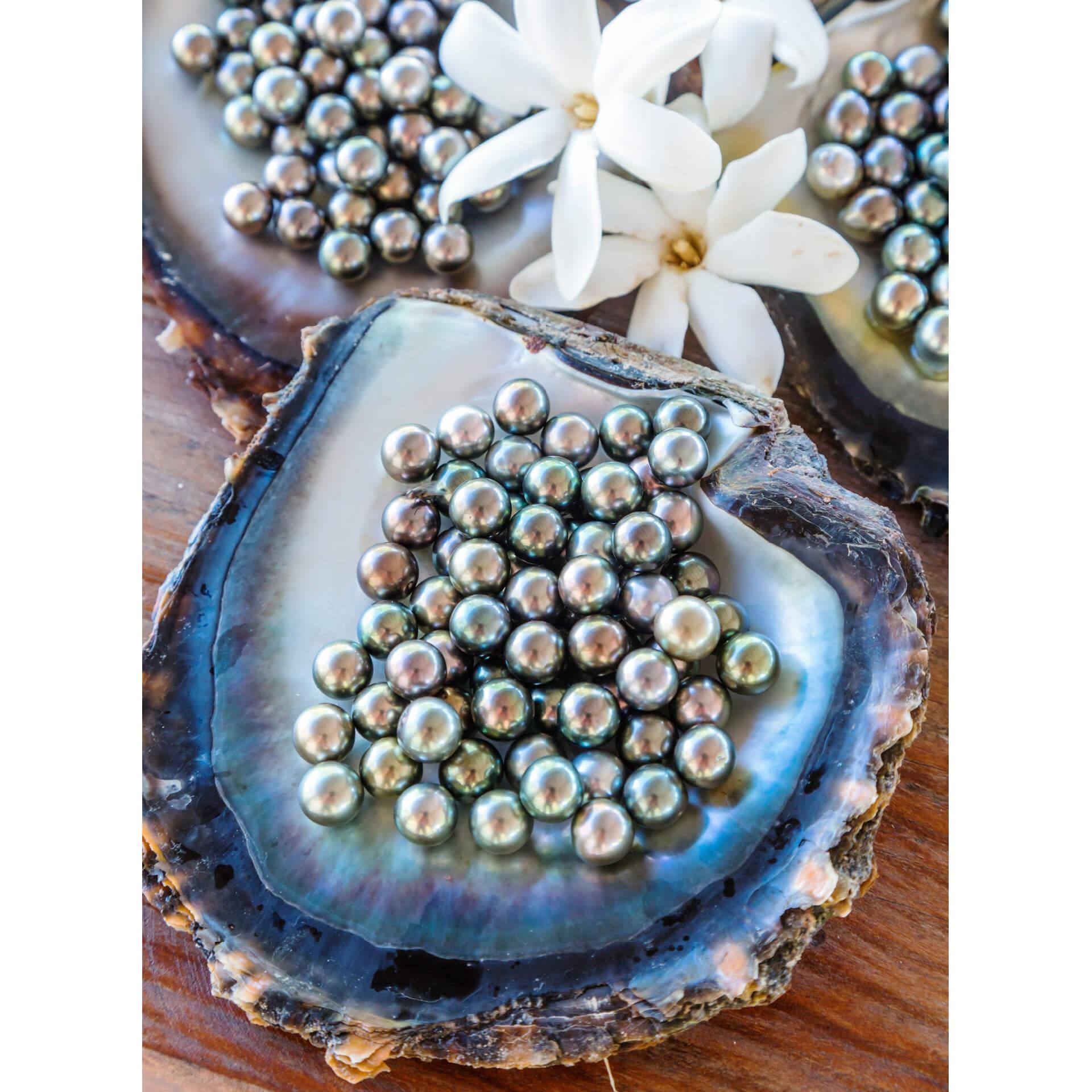 Fotobehang Colombo - Black Pearls in Tahiti
