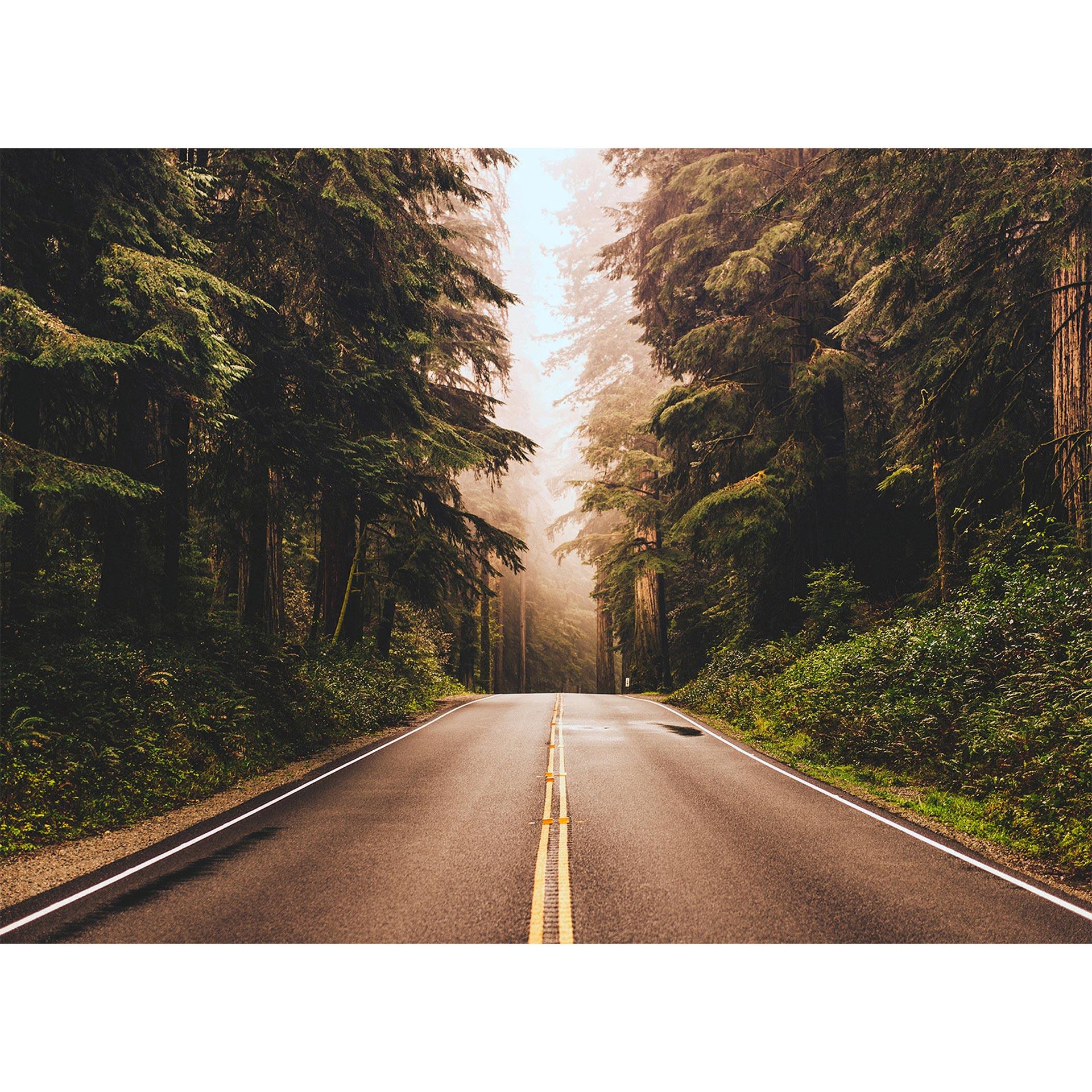 Livingwalls Fotobehang Designwalls Road Trip