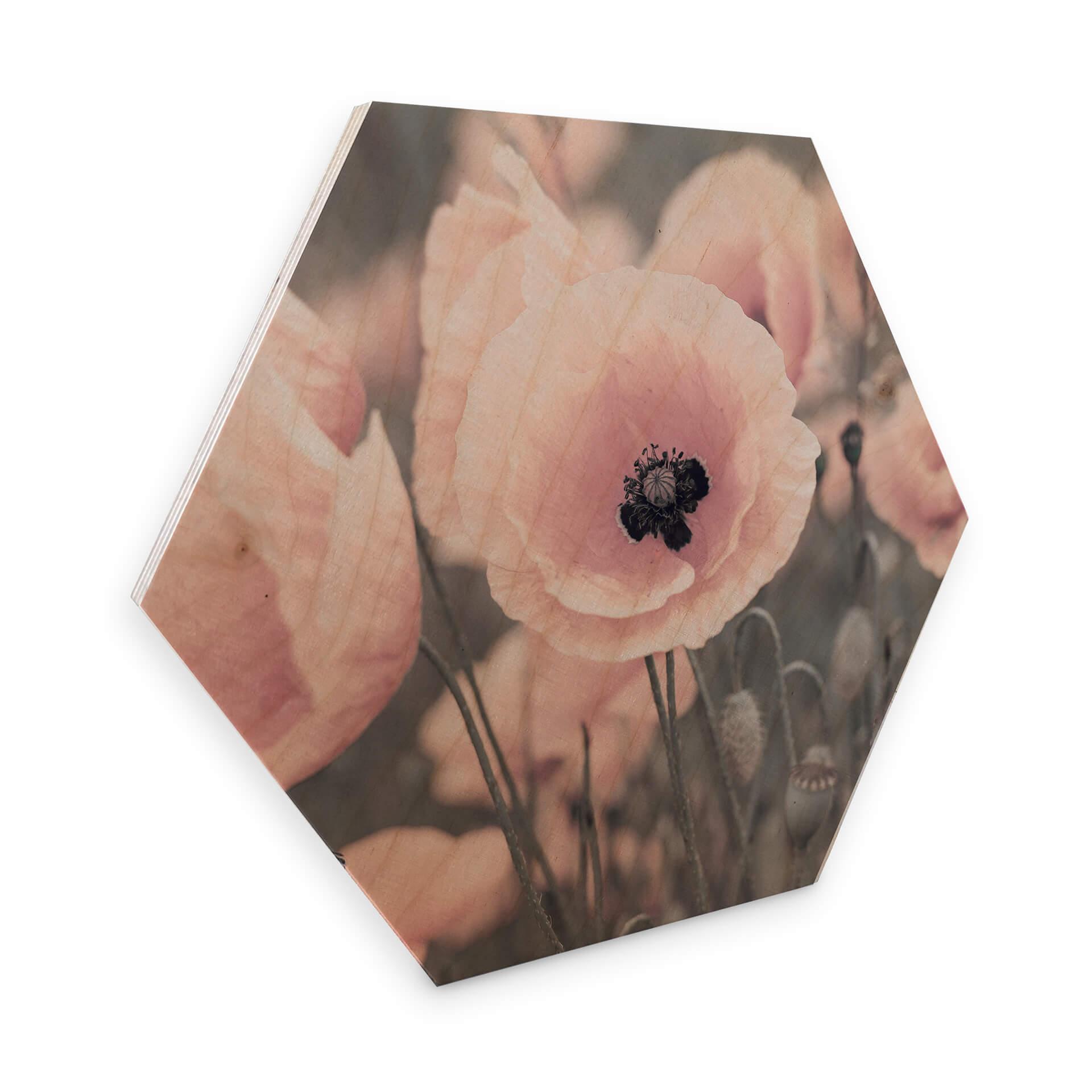 Hexagone - Placage bois de bouleau Delgado - Coquelicot rose