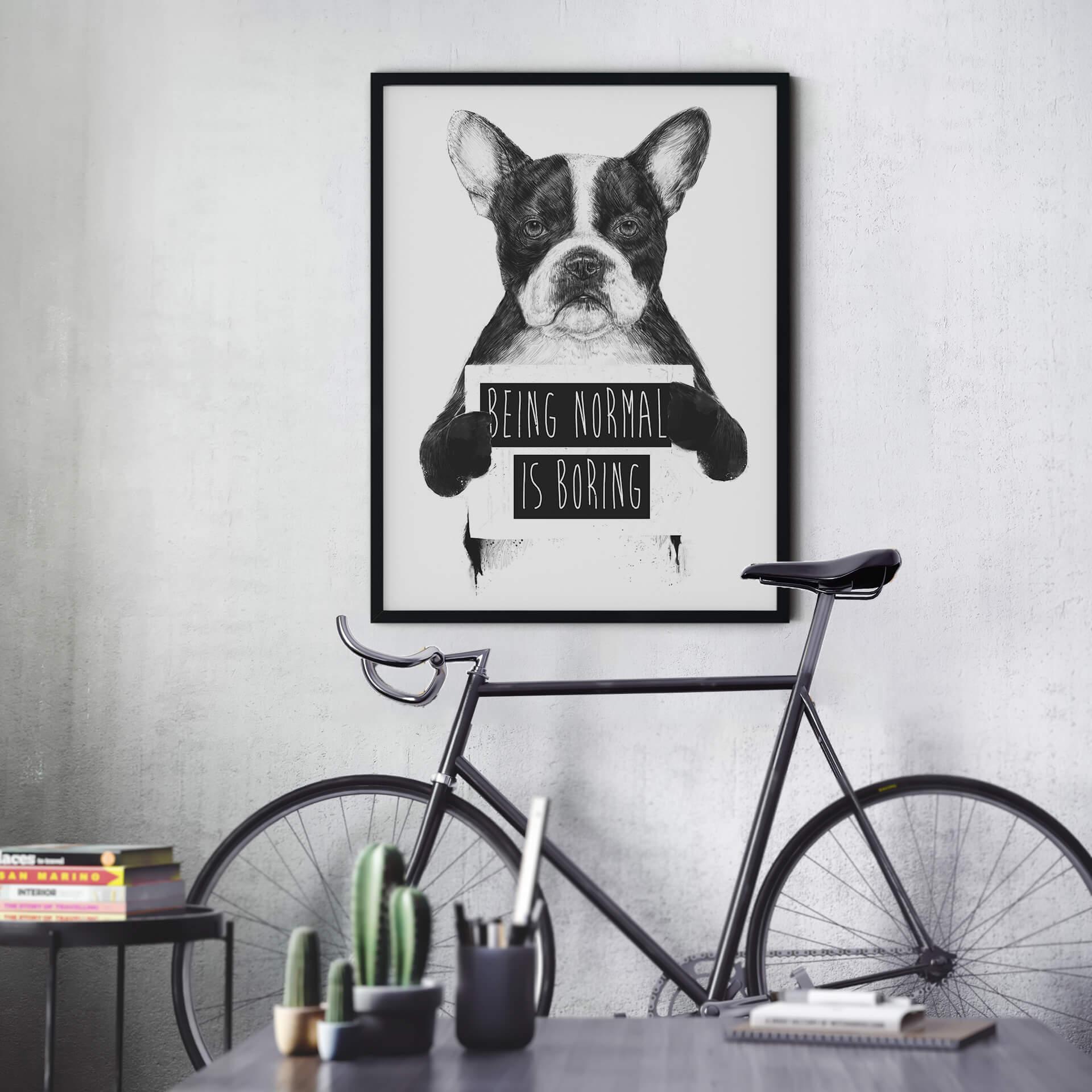 Plakat - Solti - Being normal is boring