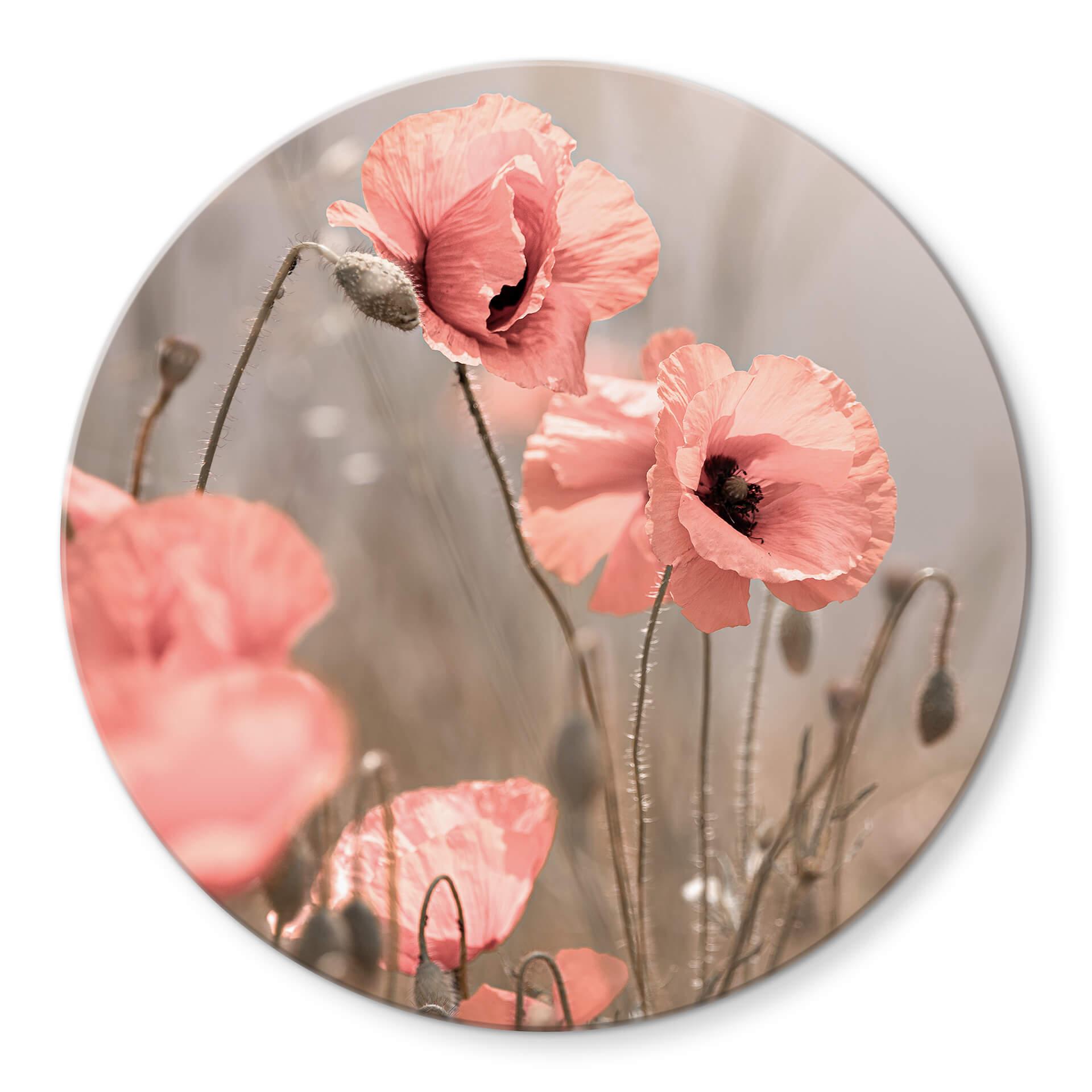 Glasschilderij Delgado rond - Poppy Flower Romance