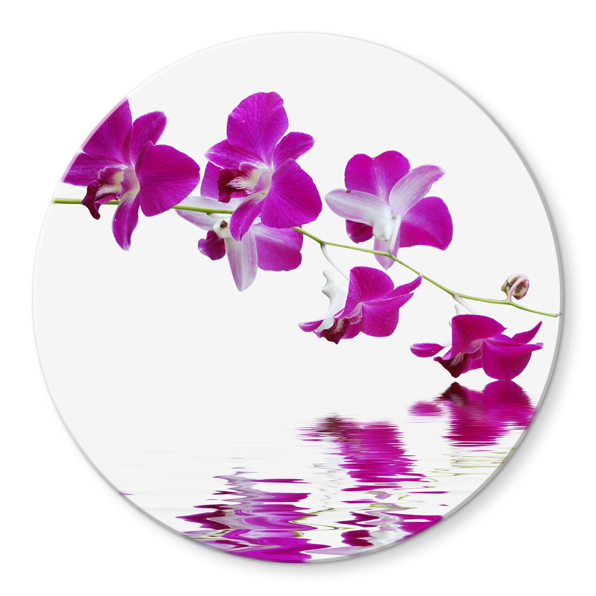 Tableau en verre - Branche fleurie - rond