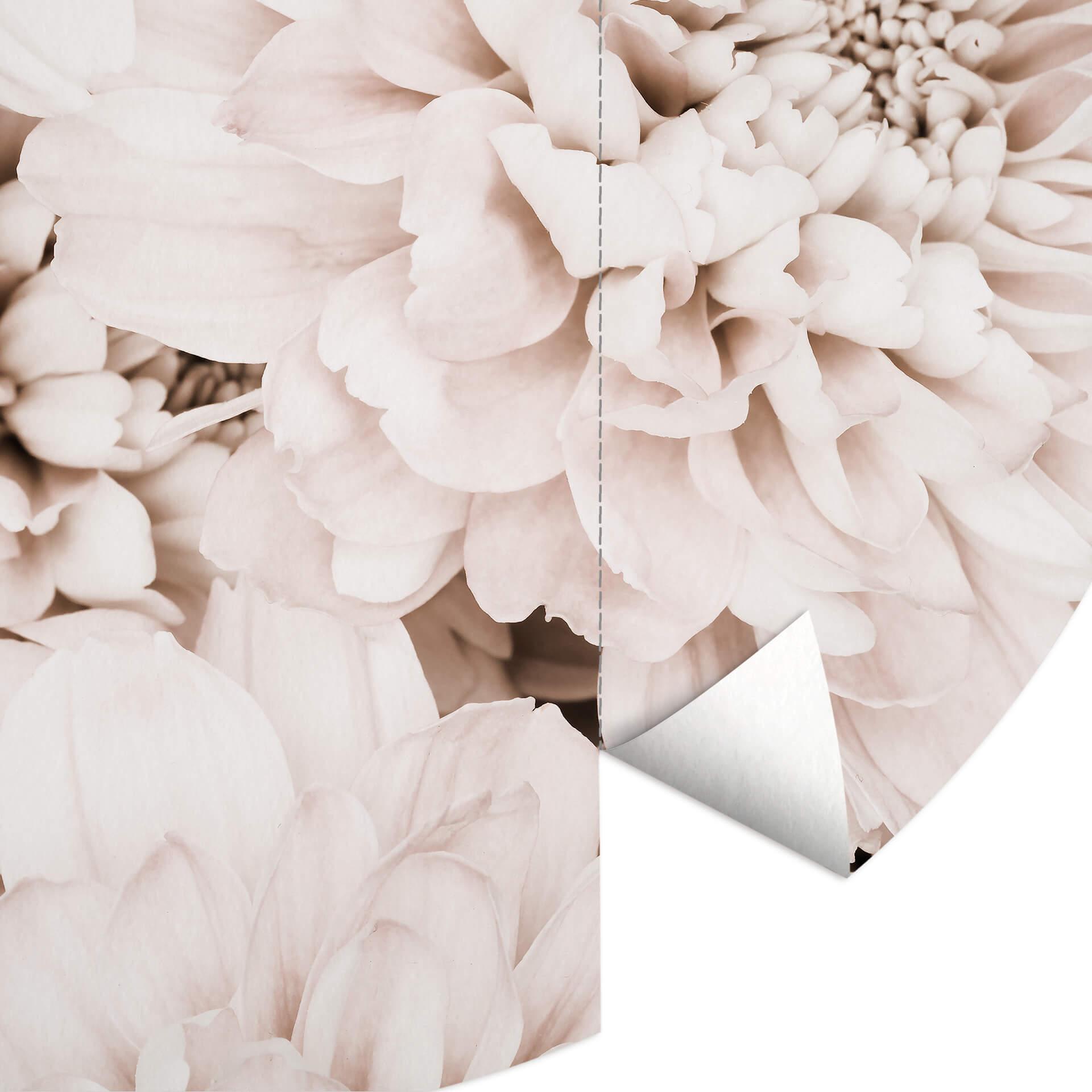 Behangcirkel 1X Studio - Apricot Aster - vliesbehang/zelfklevend vliesbehang