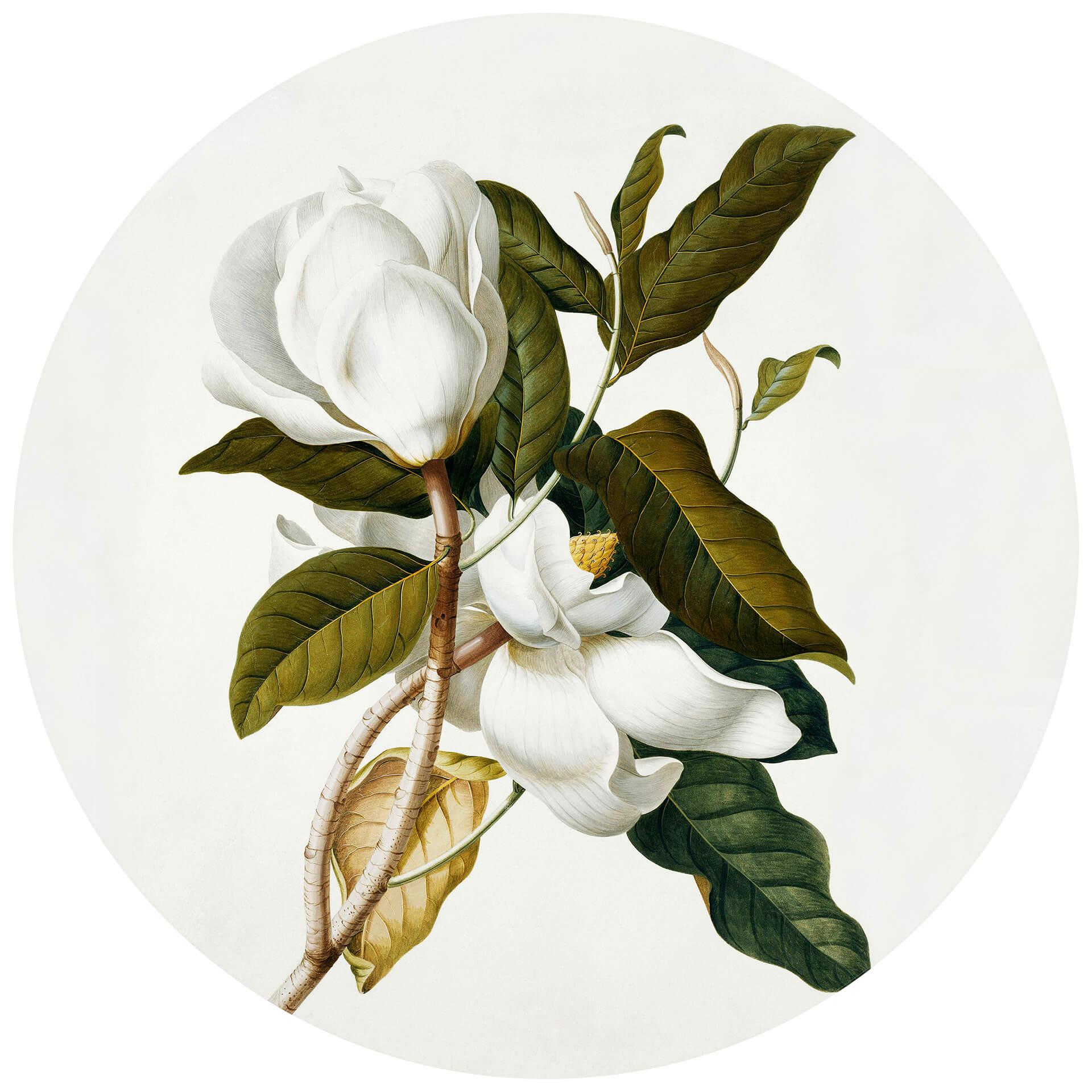 Behangcirkel Ehret - Magnolia - vliesbehang/zelfklevend vliesbehang