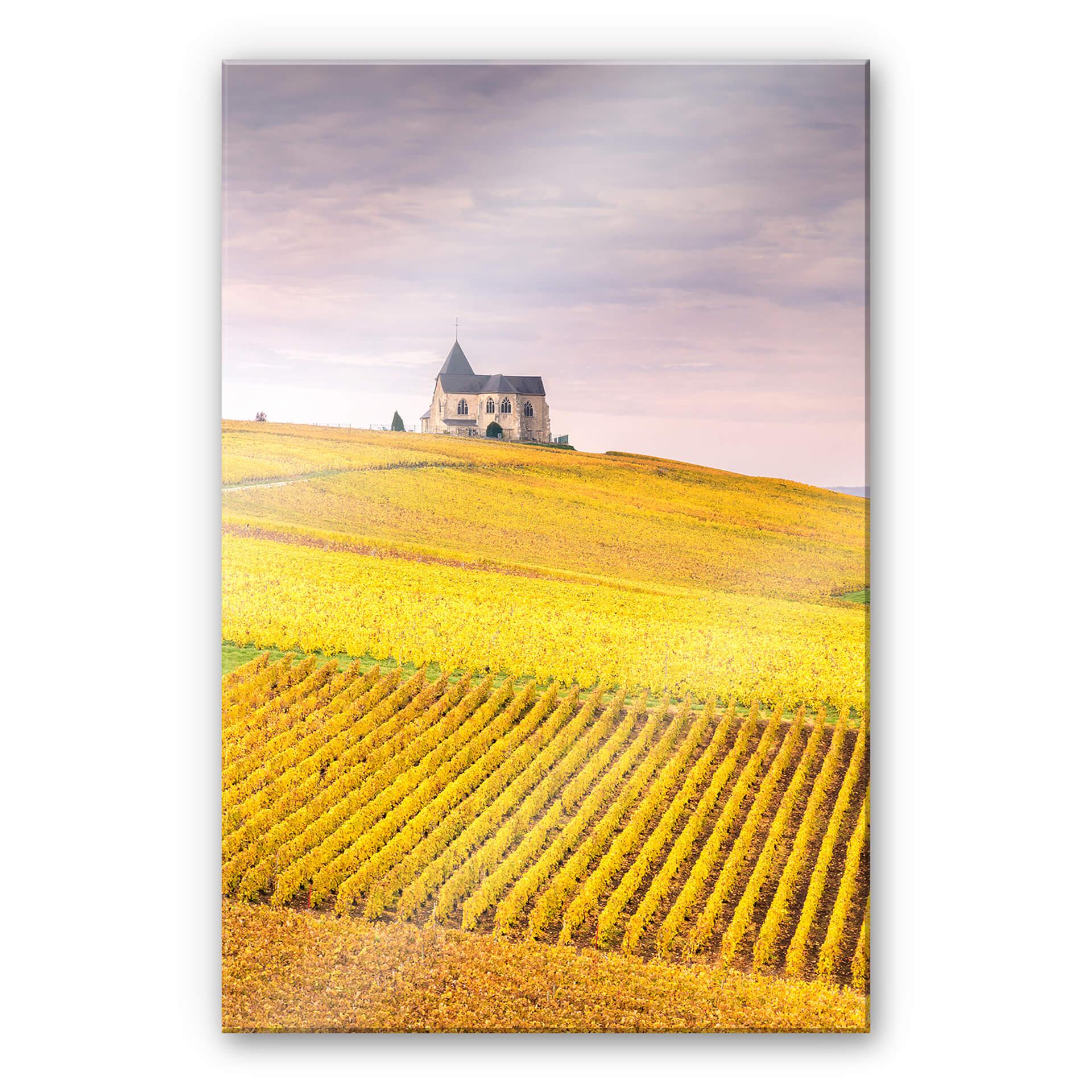 Akrylbillede Colombo - Vinmarker i Champagne