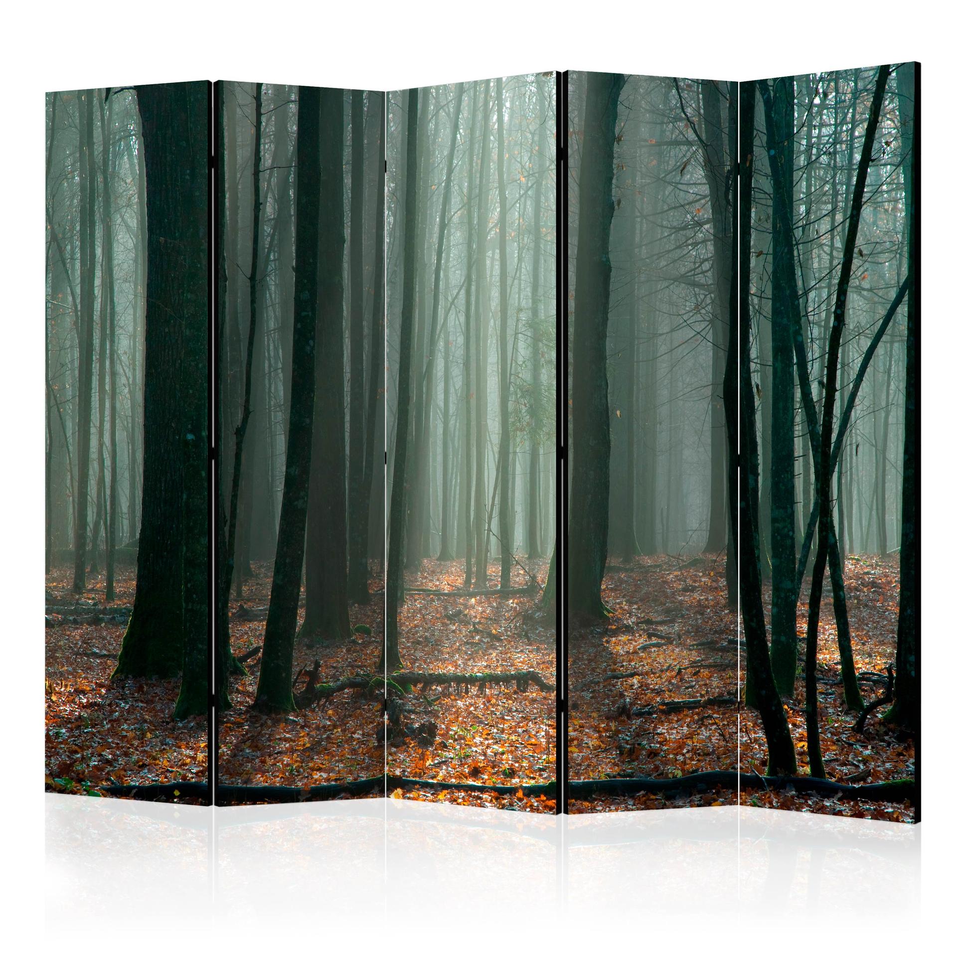 Paravent, Raumteiler freistehend, Trennwand - Witches' forest II, 5-teilig - einseitig bedruckt - 225x172 cm