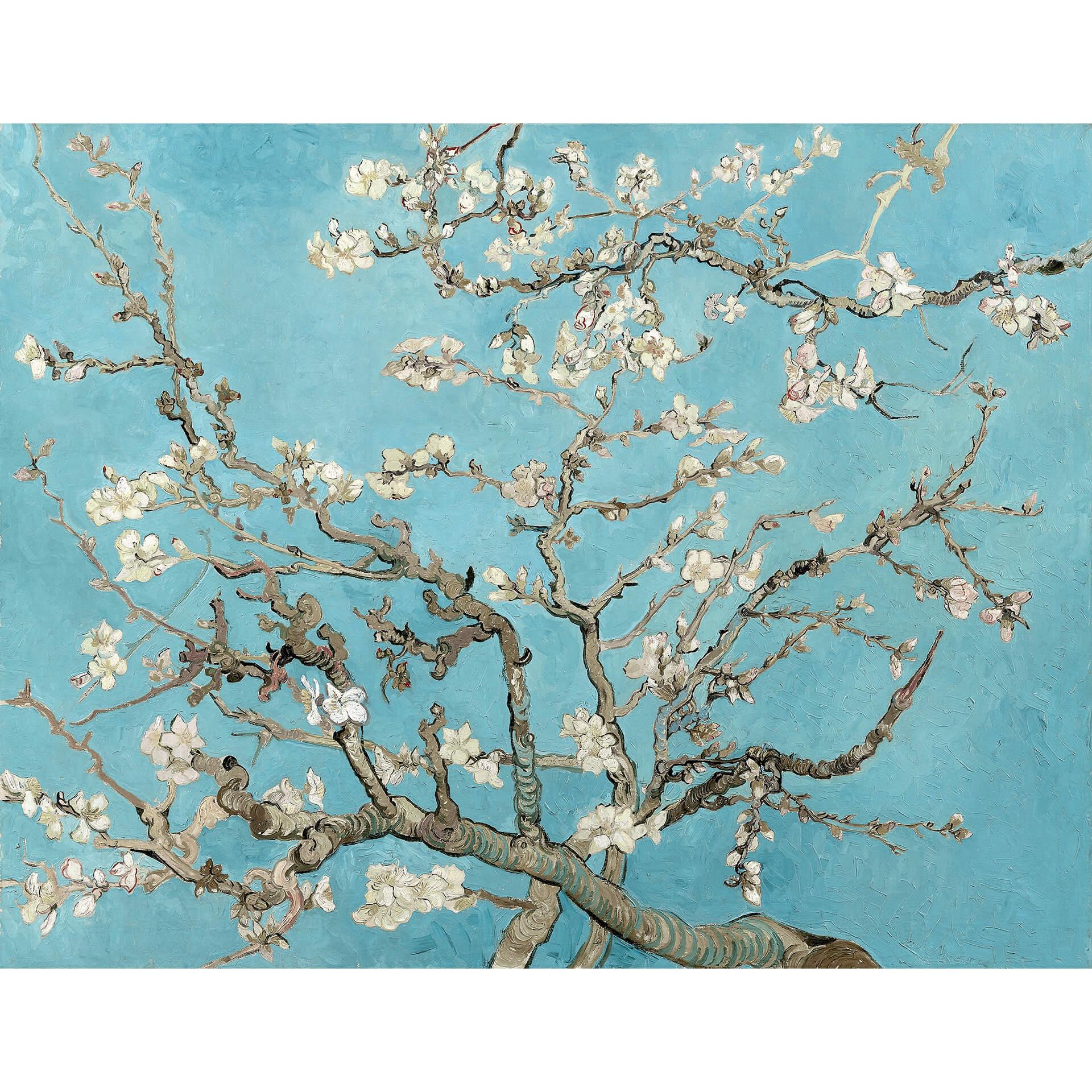 Fotobehang van Gogh - Amandelbloesem