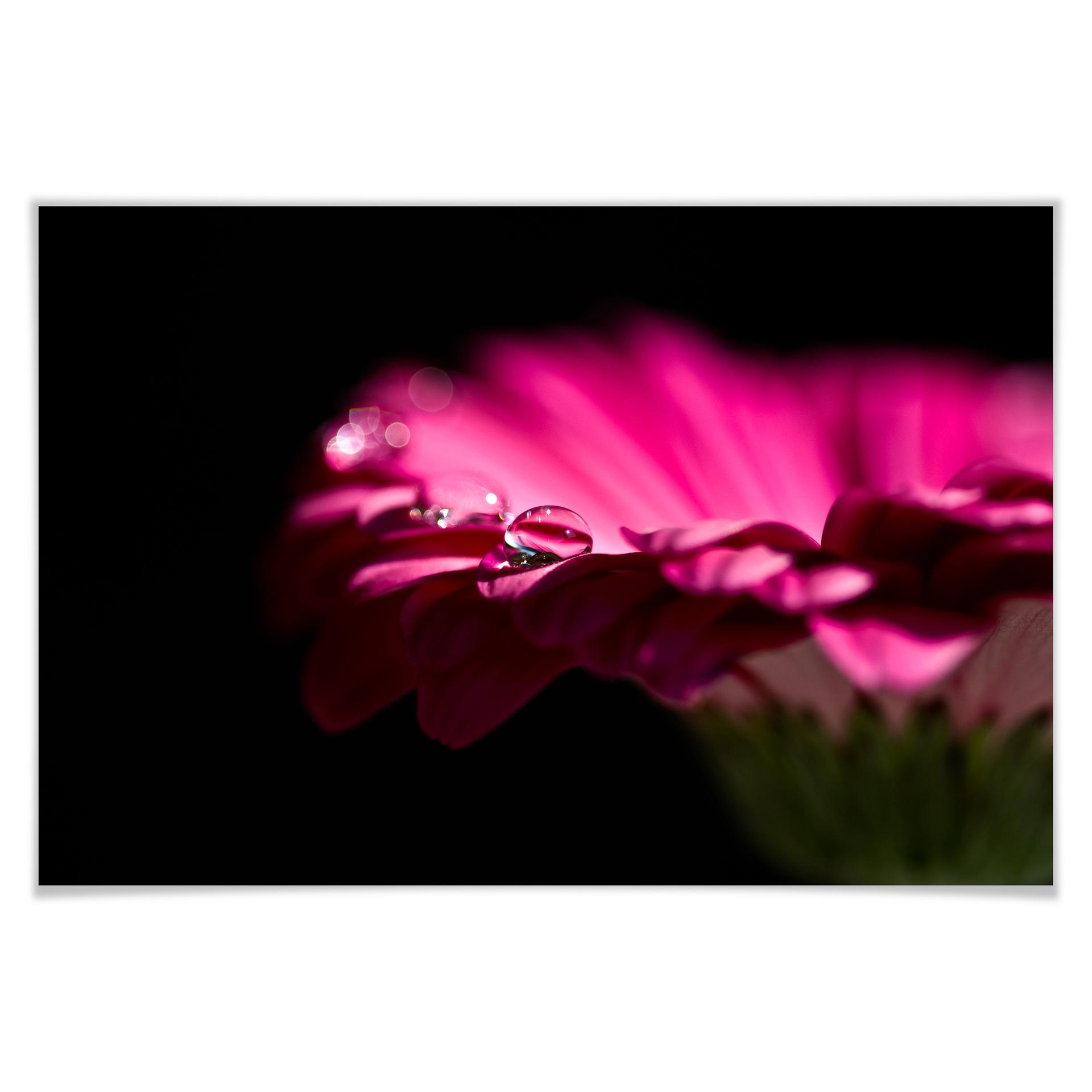 Poster - Waterdrop of Life