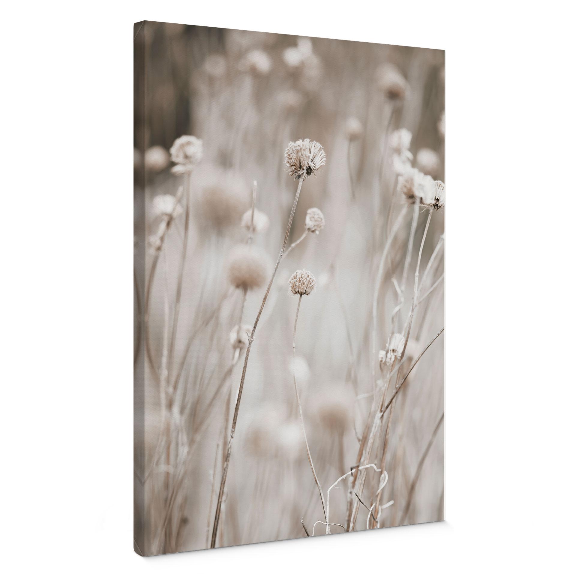 Canvasbillede Tørrede blomster i bløde toner - Annie