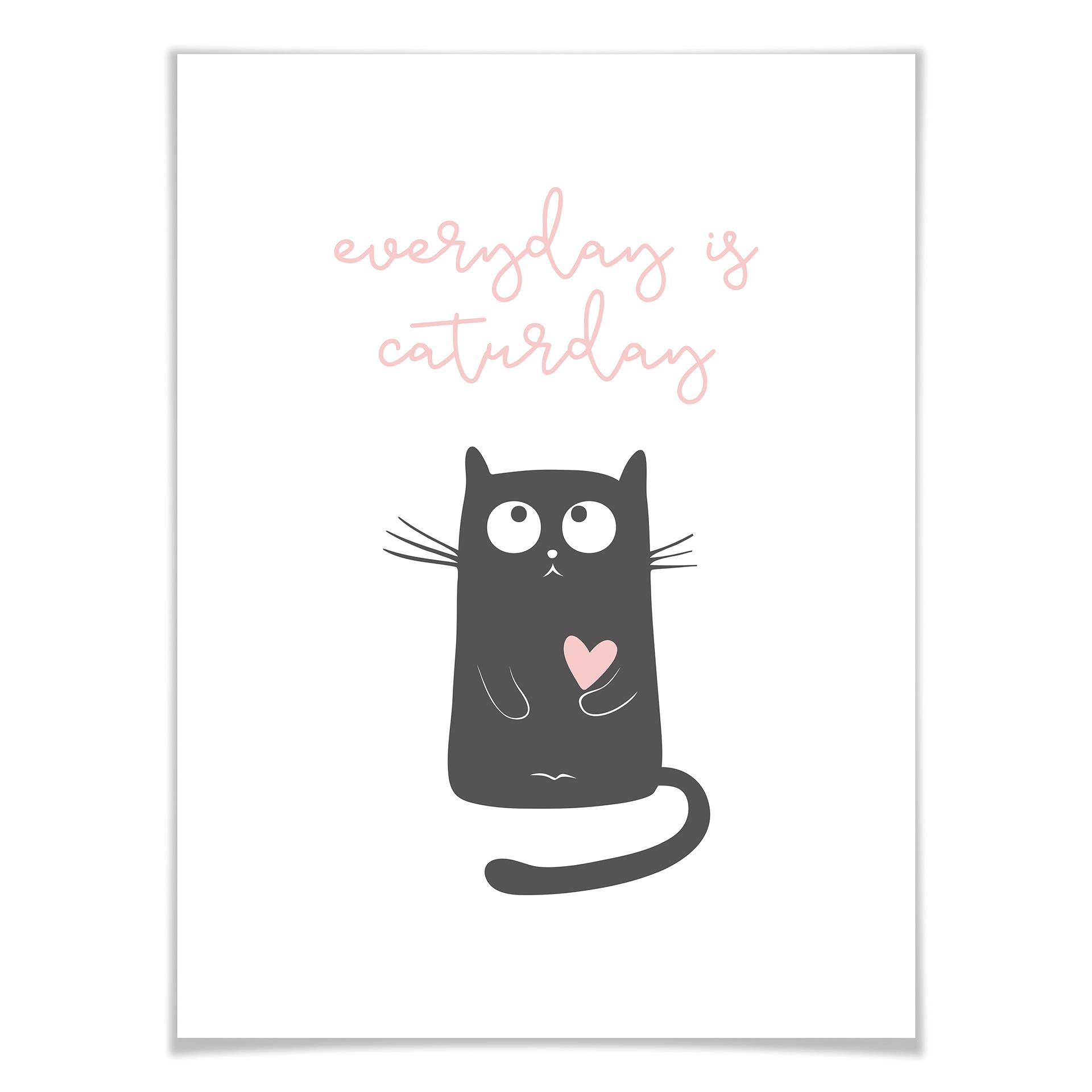 Plakat - Everyday is caturday