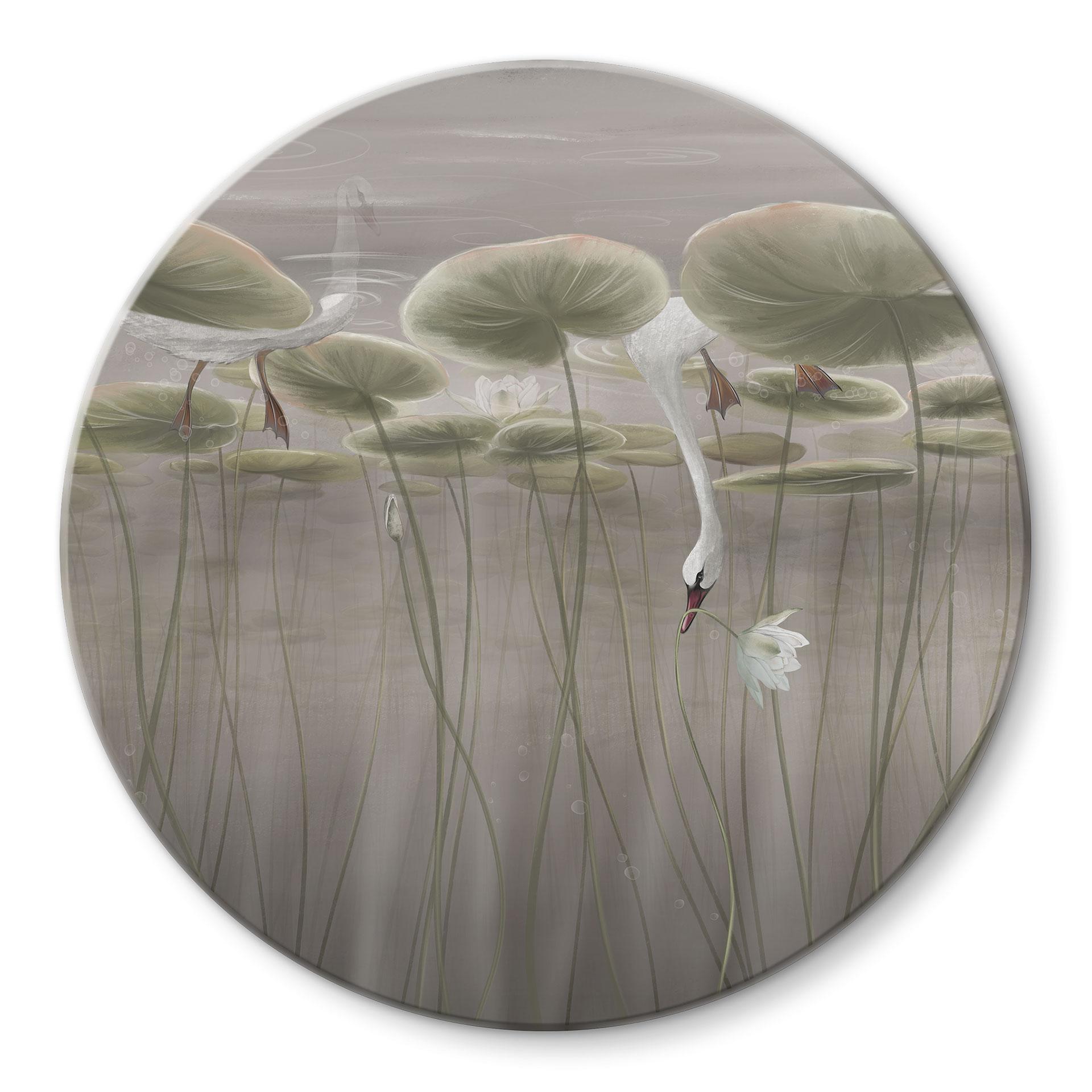 Glasbild Lotusblumen mit Schwan im Wasser in Grau - Ms Tiff - Rund