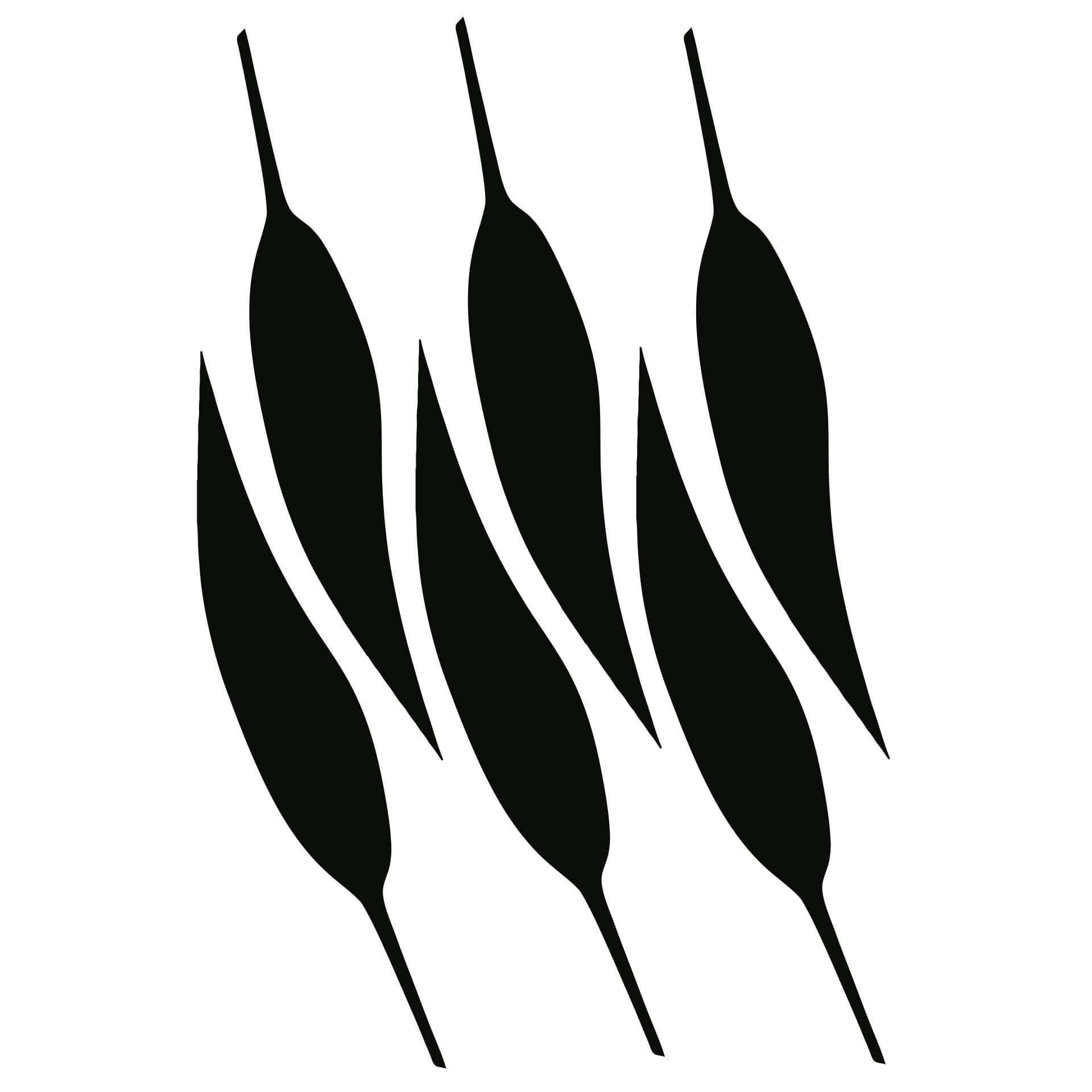 Blade sæt 6