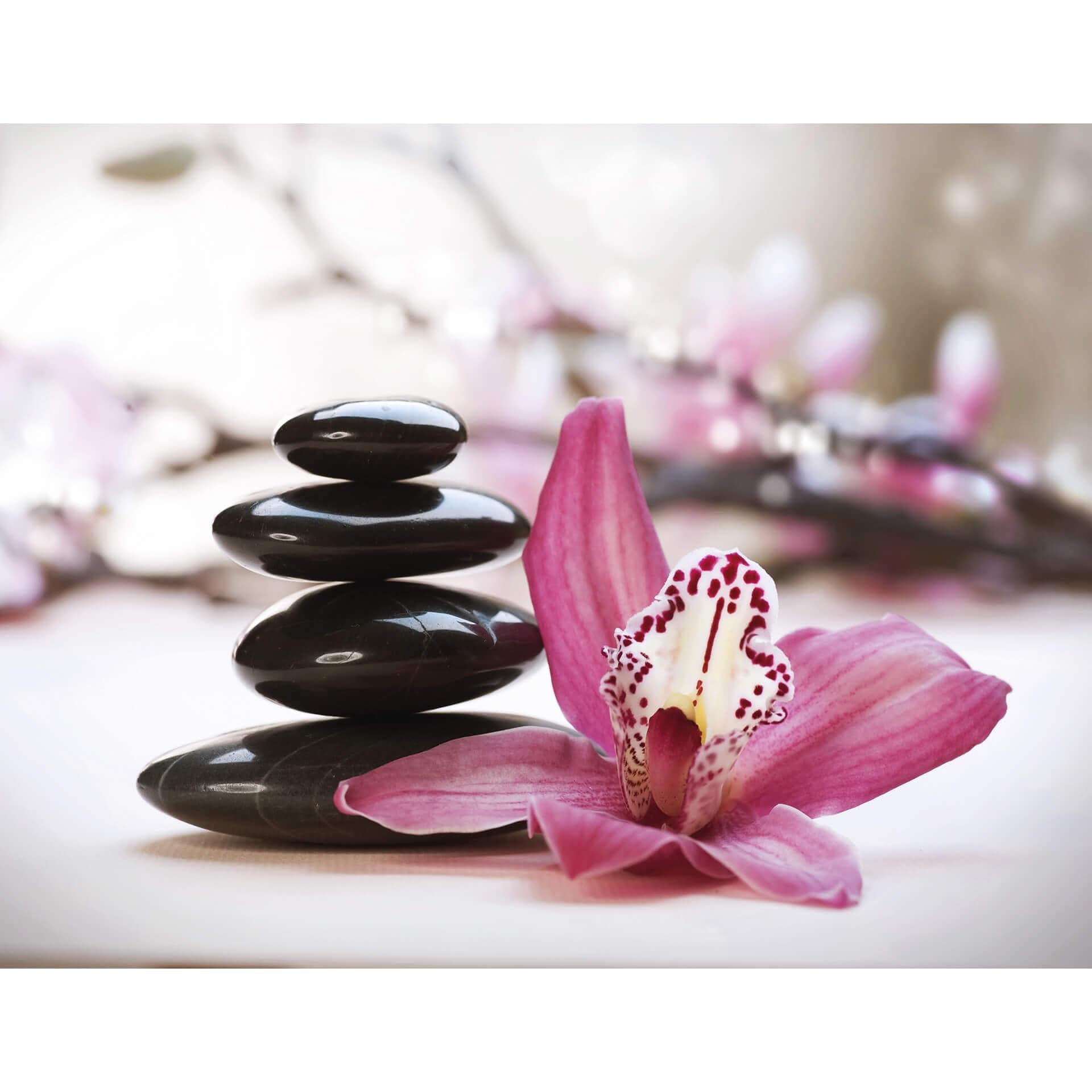 Fotobehang Orchidee