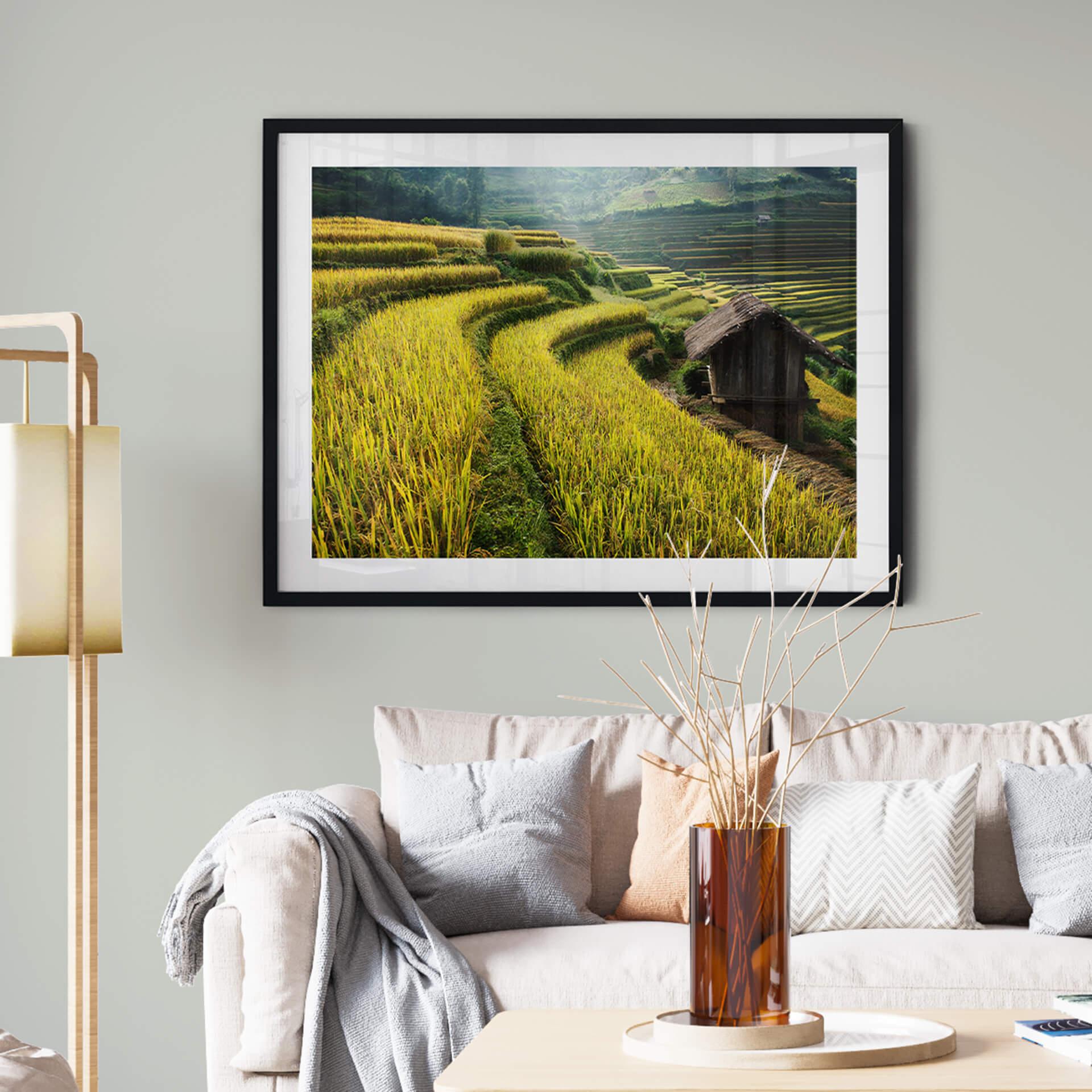 Póster Intarob - Arrozales en Vietnam