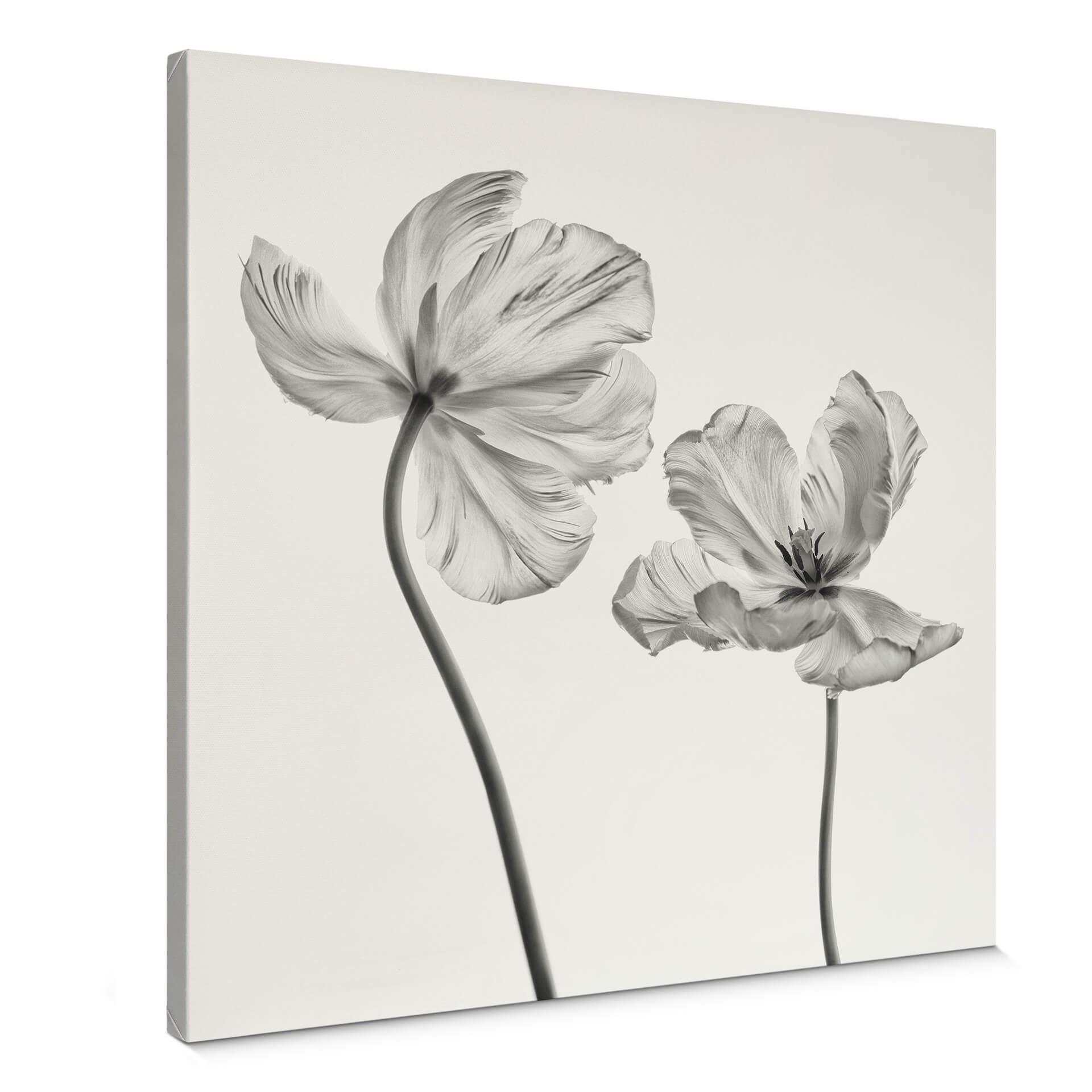 Canvastavla Grønkjær - Tulpanblomma