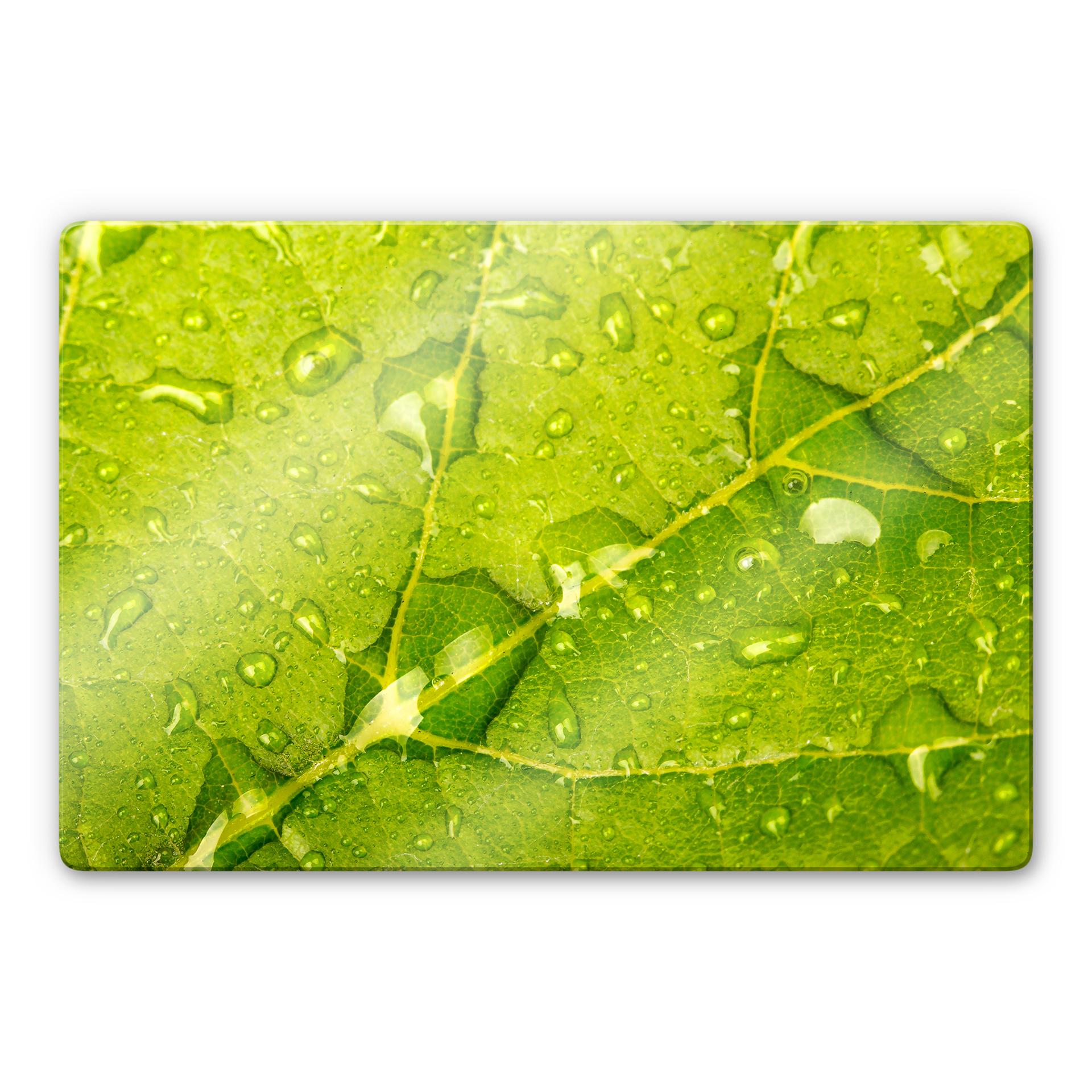 Glasbild Wasserperlen