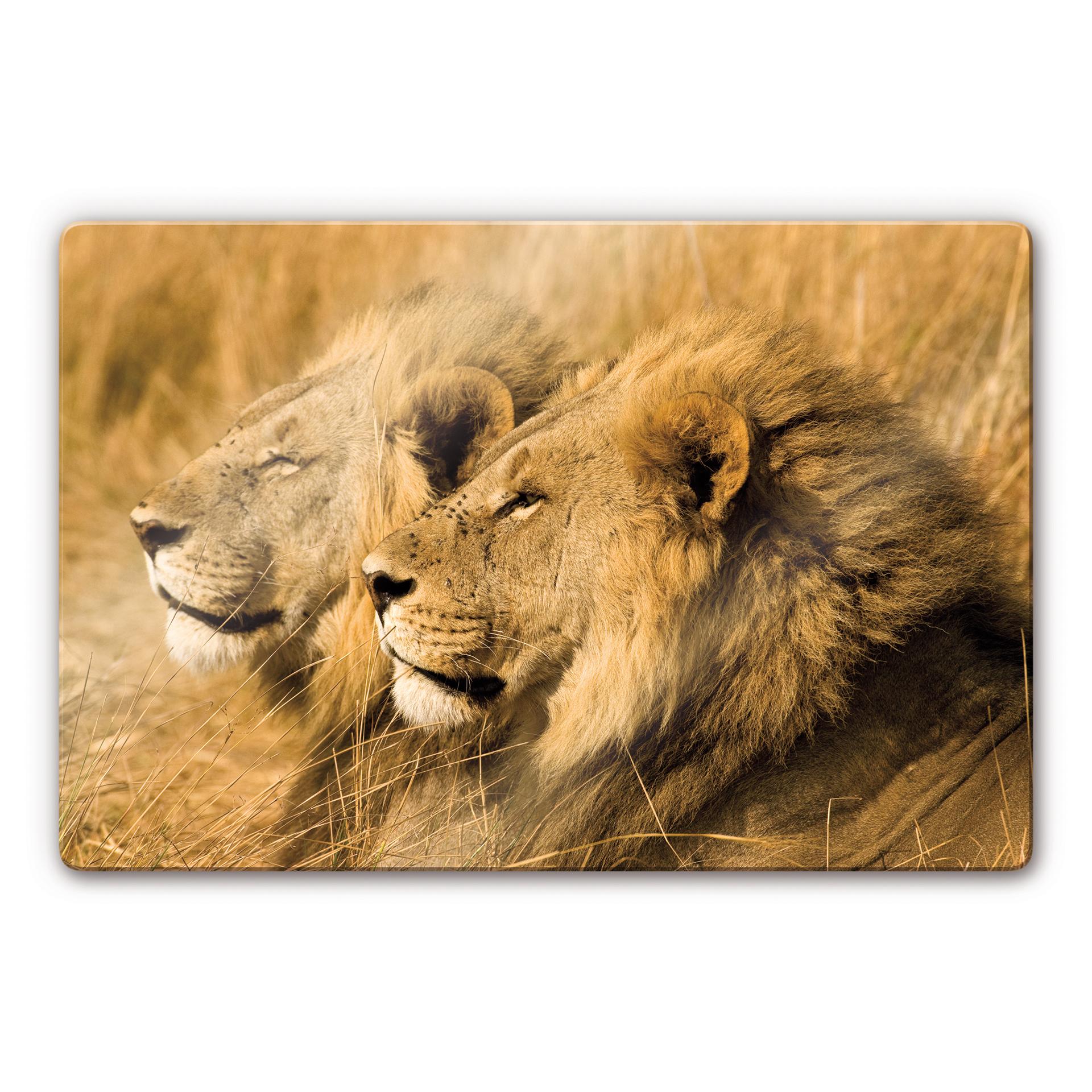 Tableau en verre - NG Le couple de lions