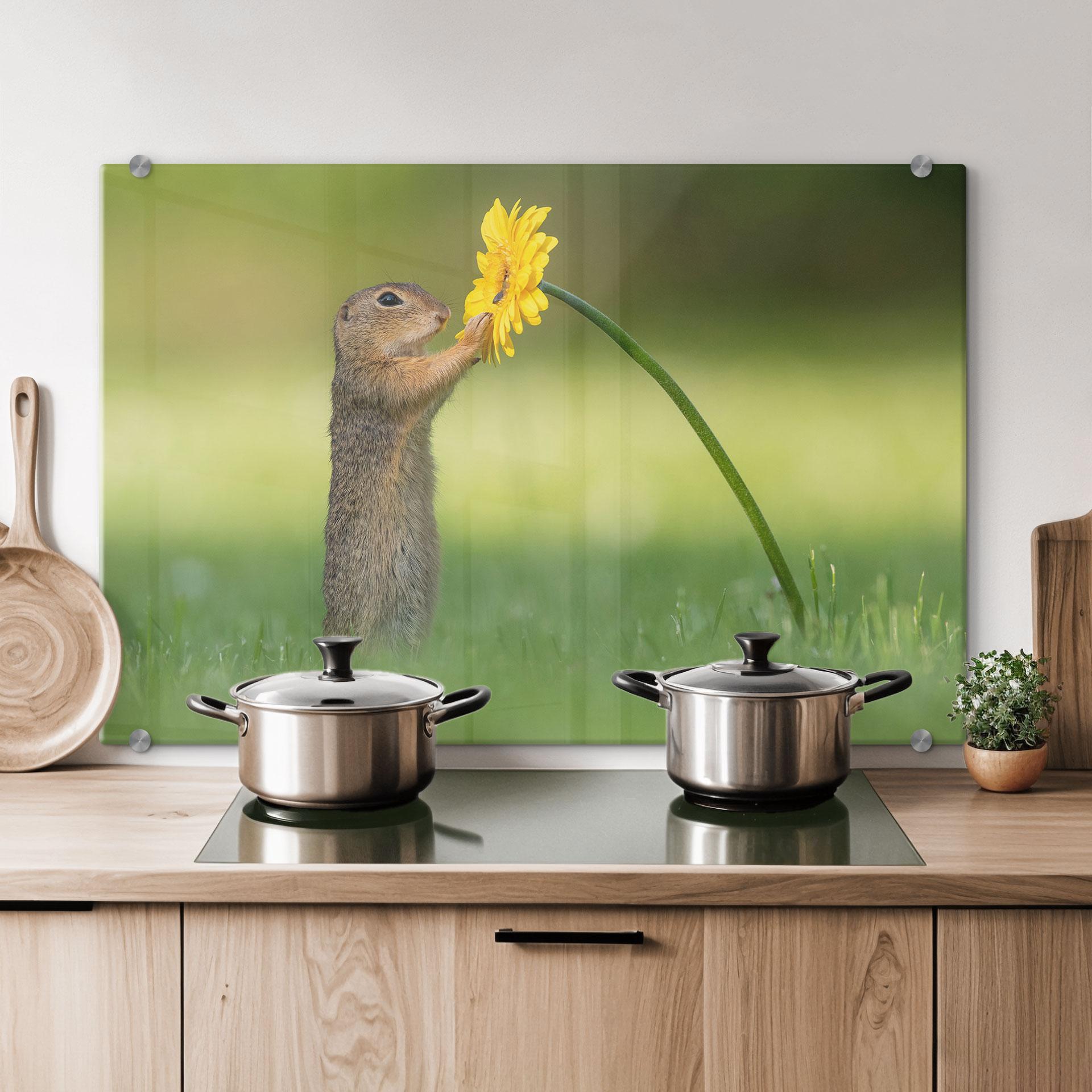 Stænkplade - van Duijn - Egern holder ved blomst