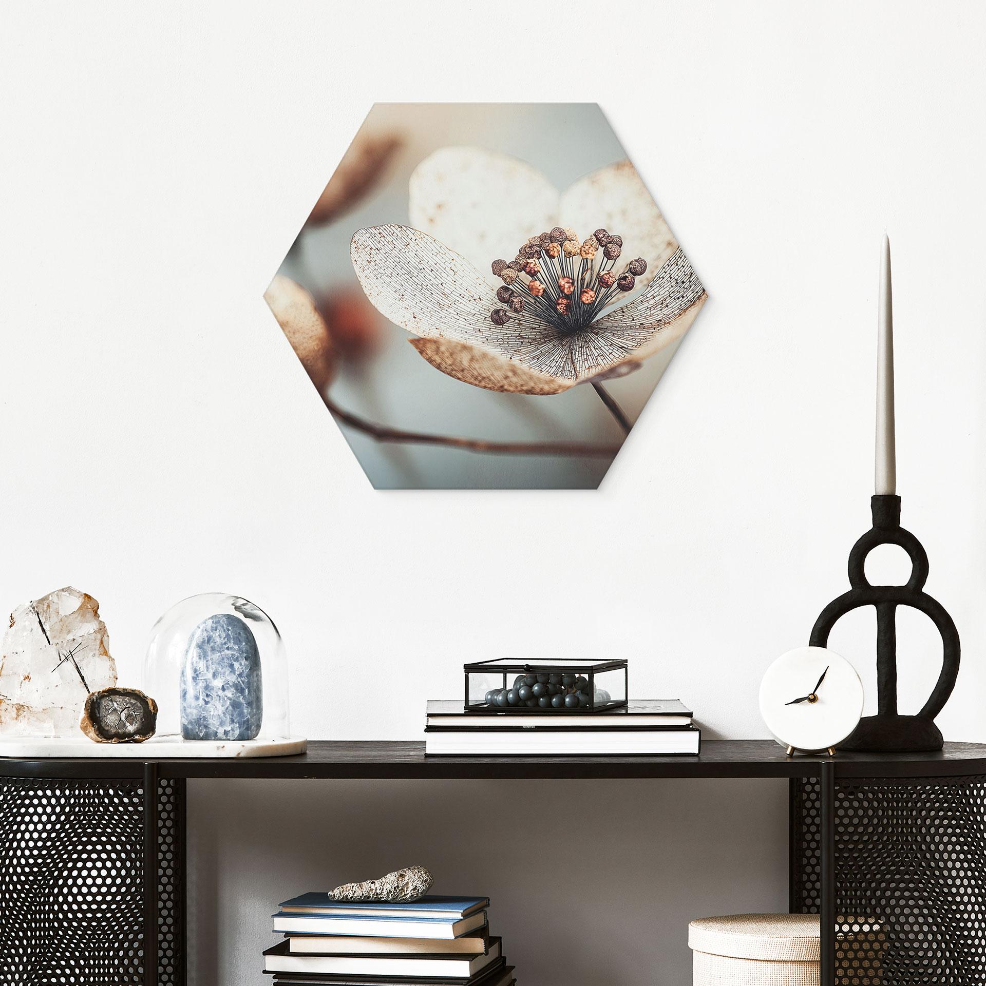 Sekskantet Billede Boho tørret blomst makro - Treechild - aluminium dibond