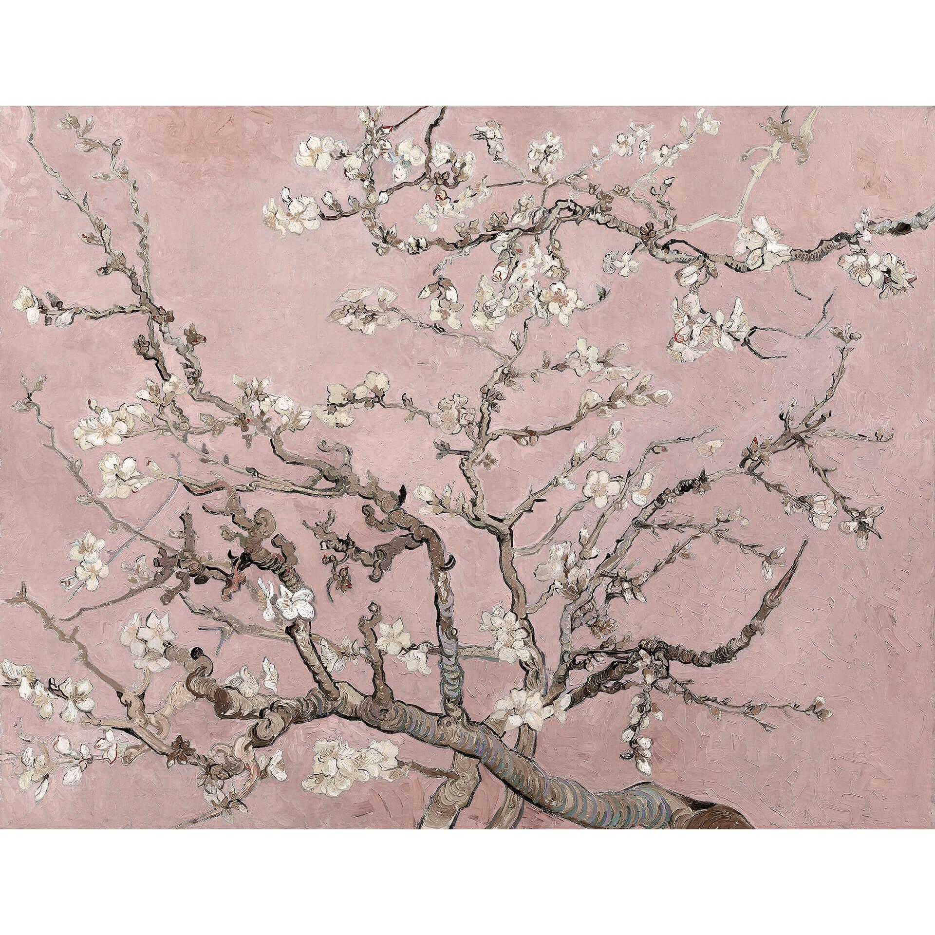 Fotobehang van Gogh - Amandelbloesem lichtroze