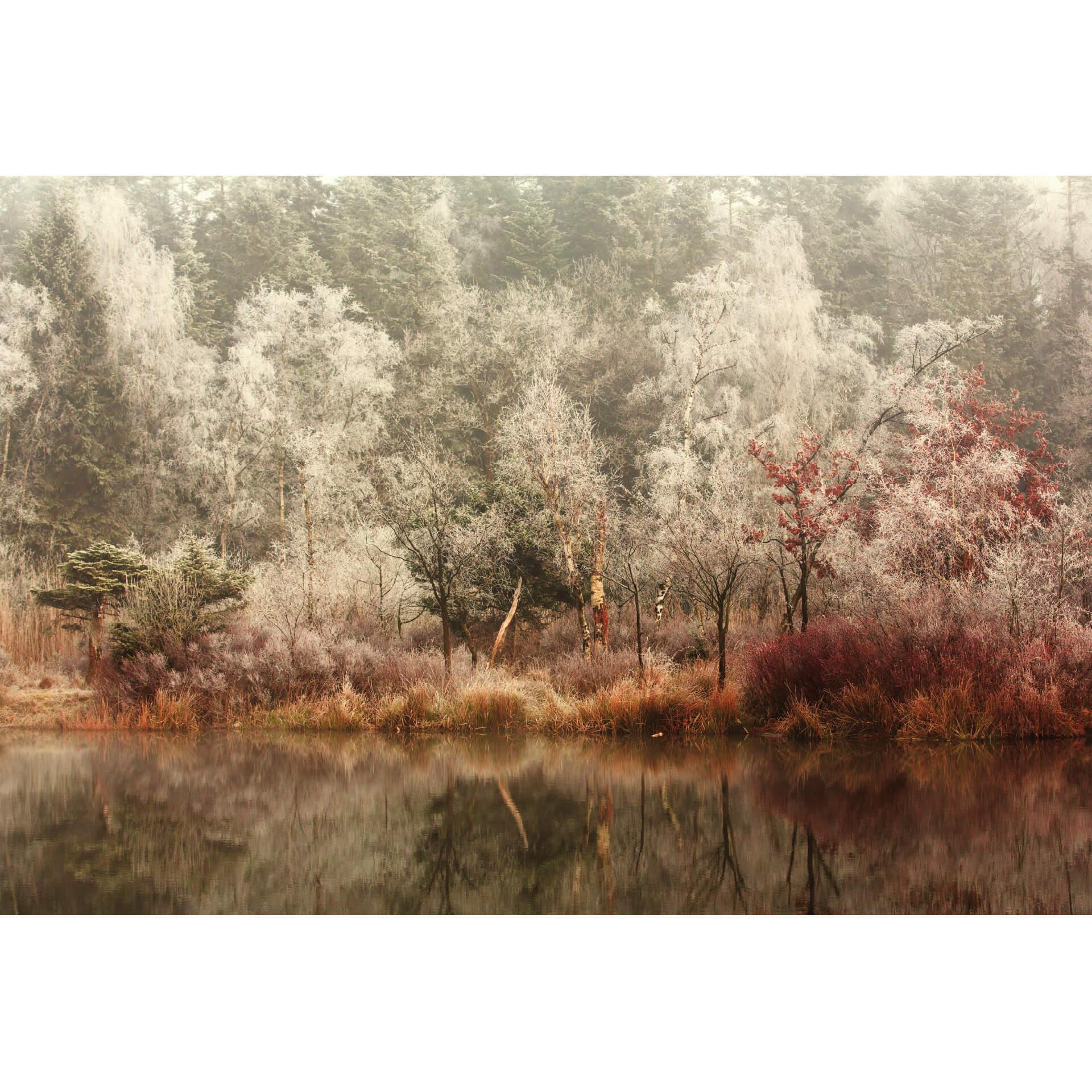 Fotobehang van Dongen - Frosted Forest