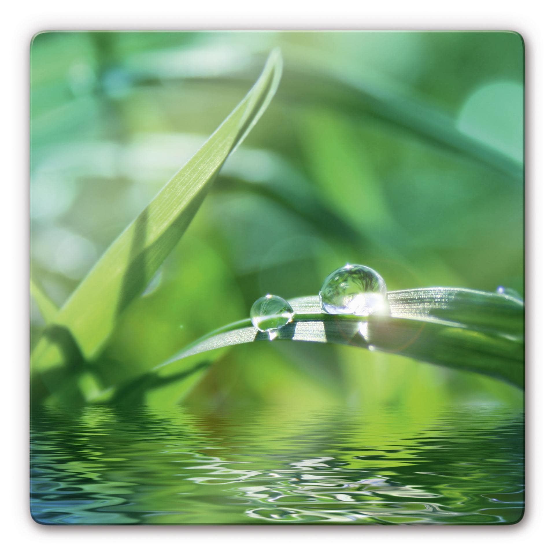 Tableau en verre - Nature 6