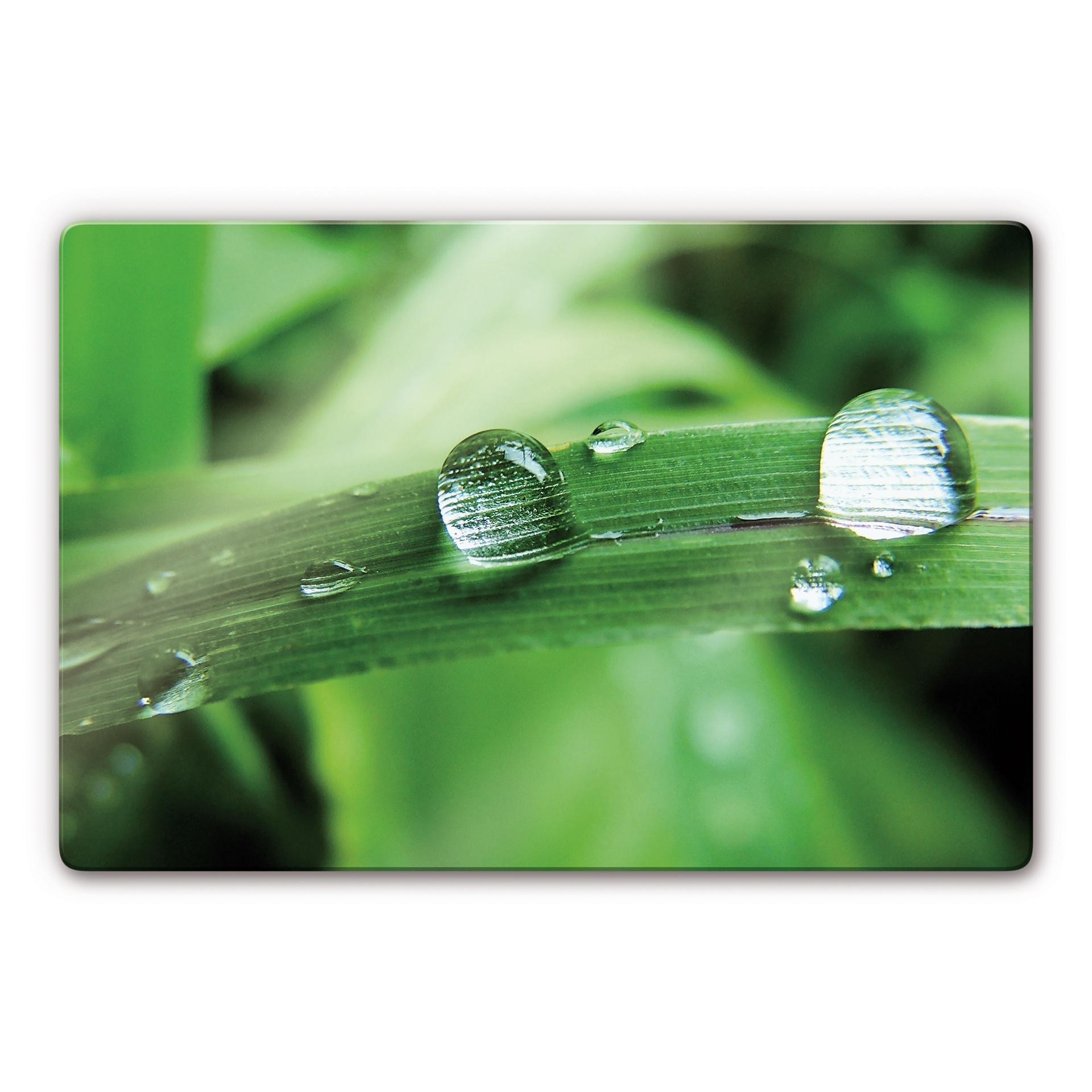 Tableau en verre - Nature 4