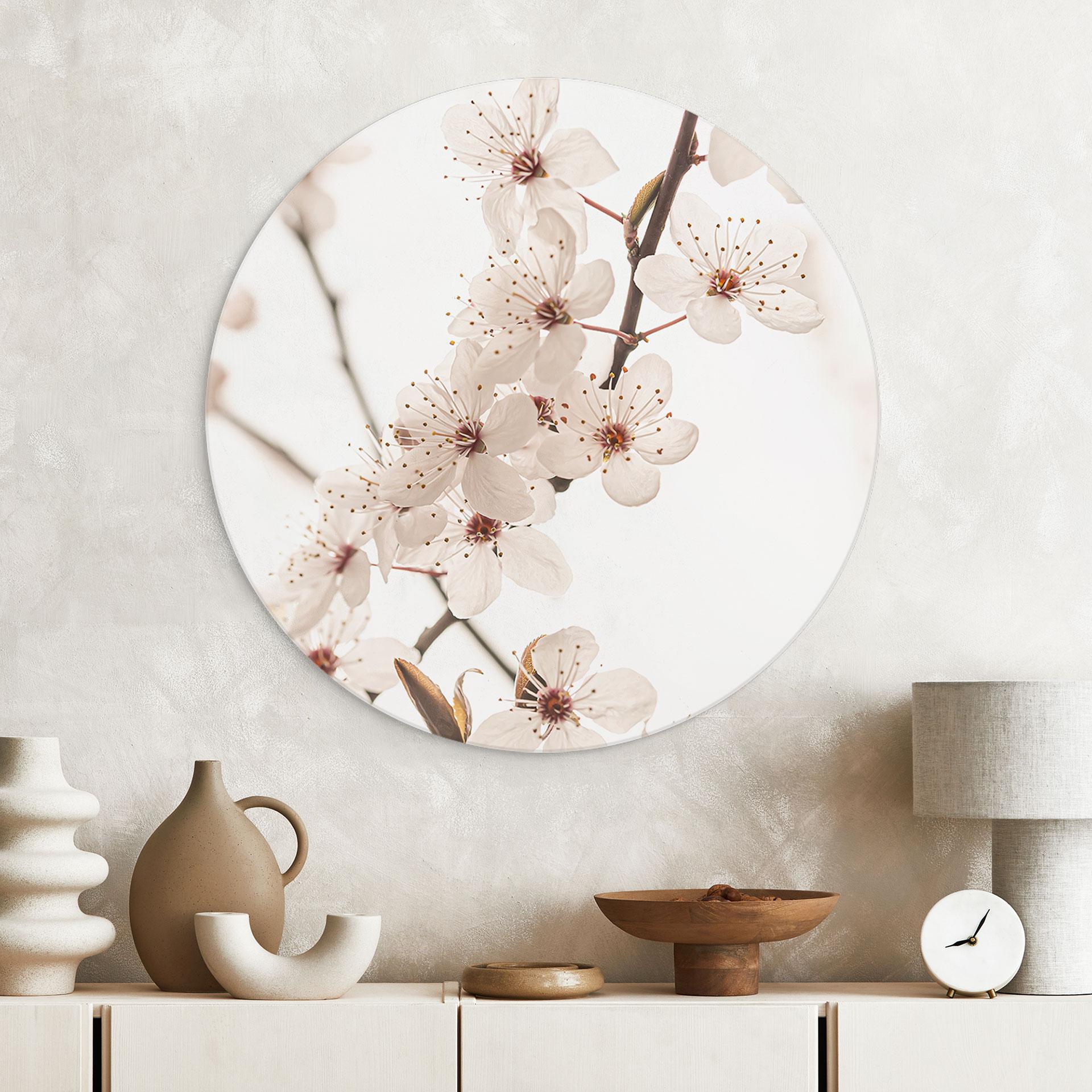 Billede Gren med hvide kirsebærblomster - Sisi & Seb - rund – print på aluminium (Alu-Dibond)