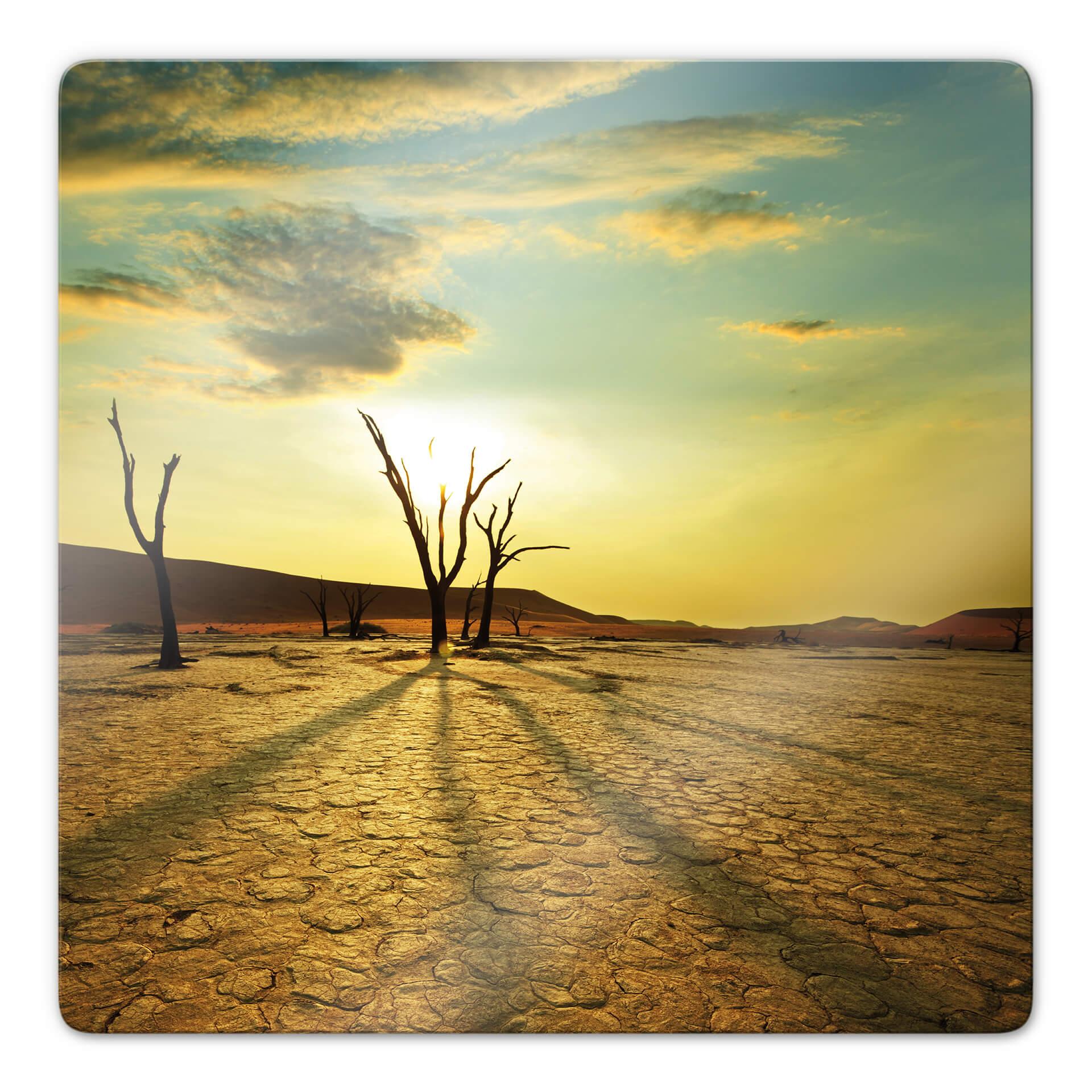 Glasbillede - Desert Valley