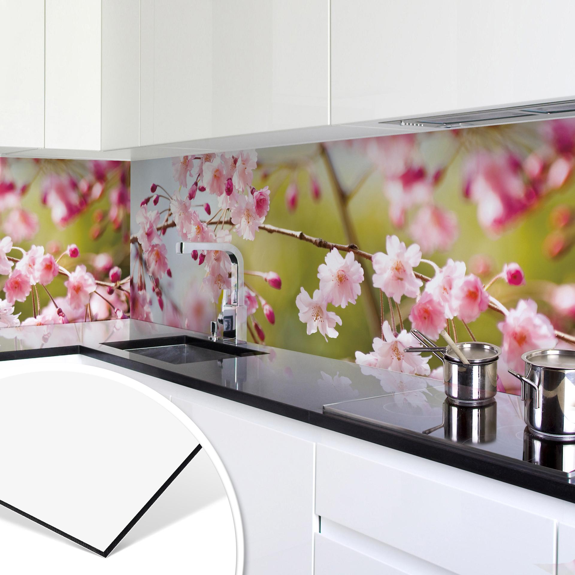 Revêtement pour cuisine - Alu-Dibond - Fleurs de cerisier