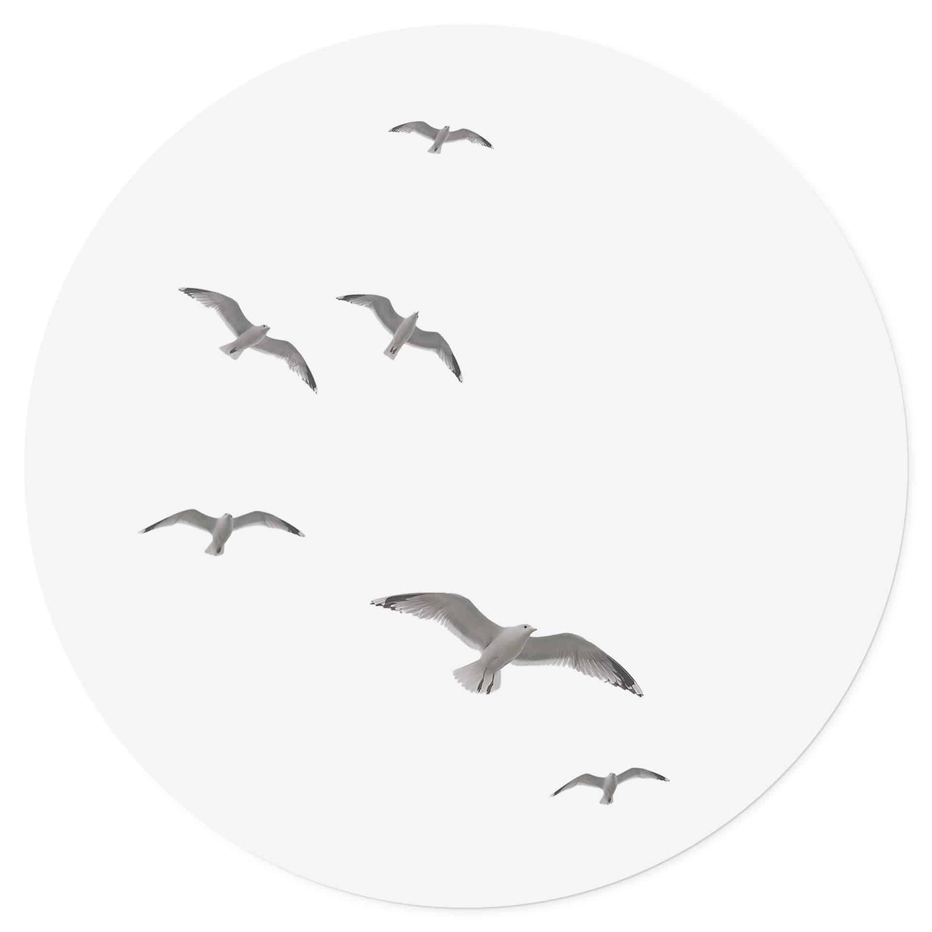 Vinilo decorativo Gaviotas en el cielo - Redondo