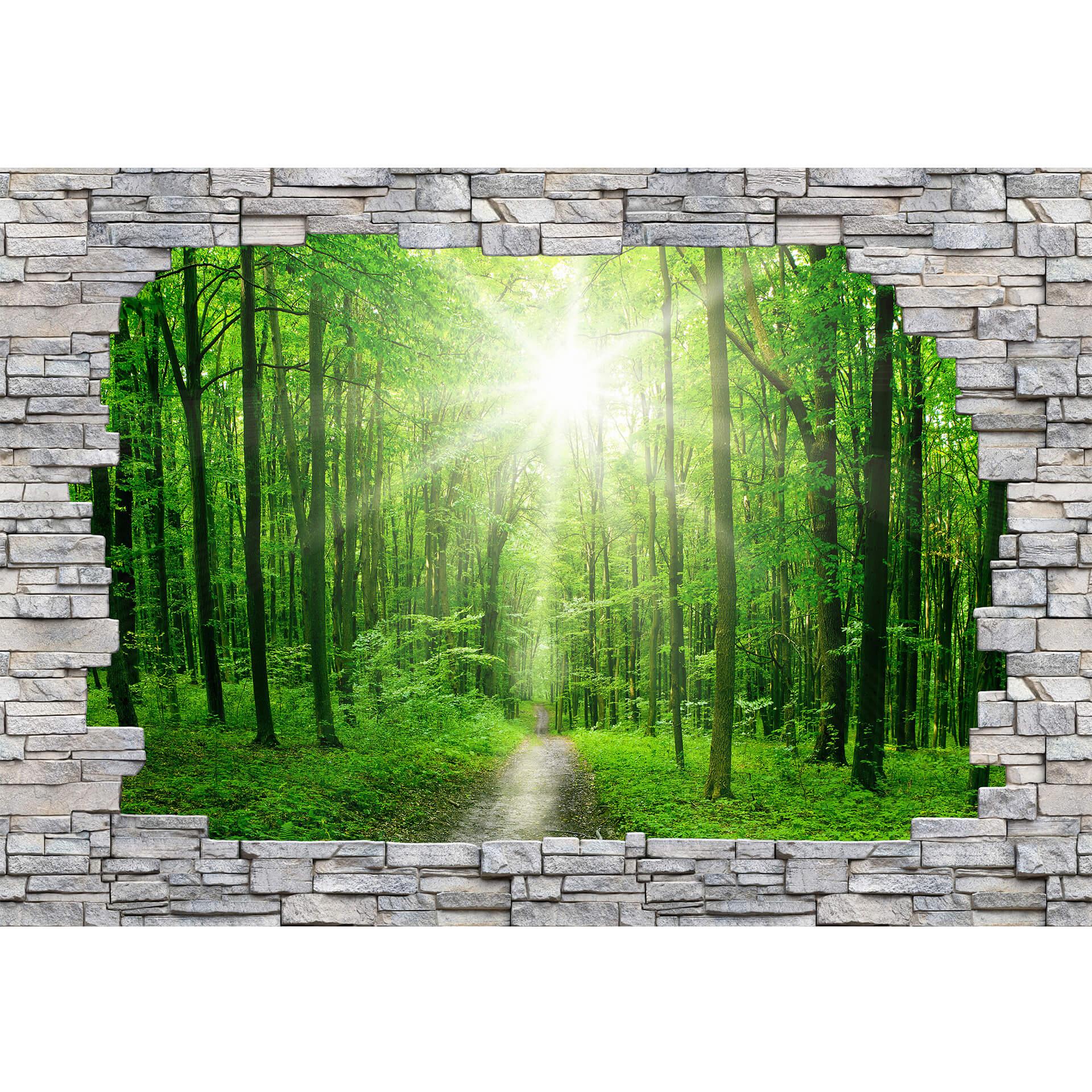 Fotobehang 3D Bos en Muur