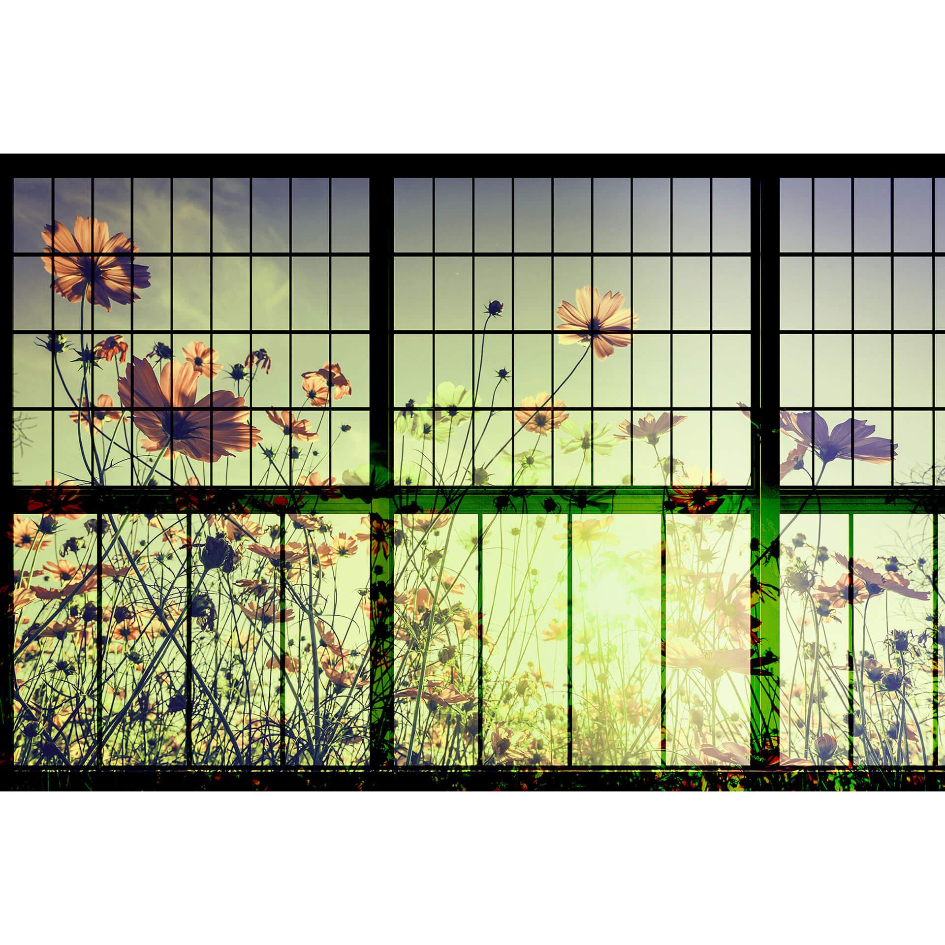 Livingwalls Fotobehang Walls by Patel 2 meadow 2