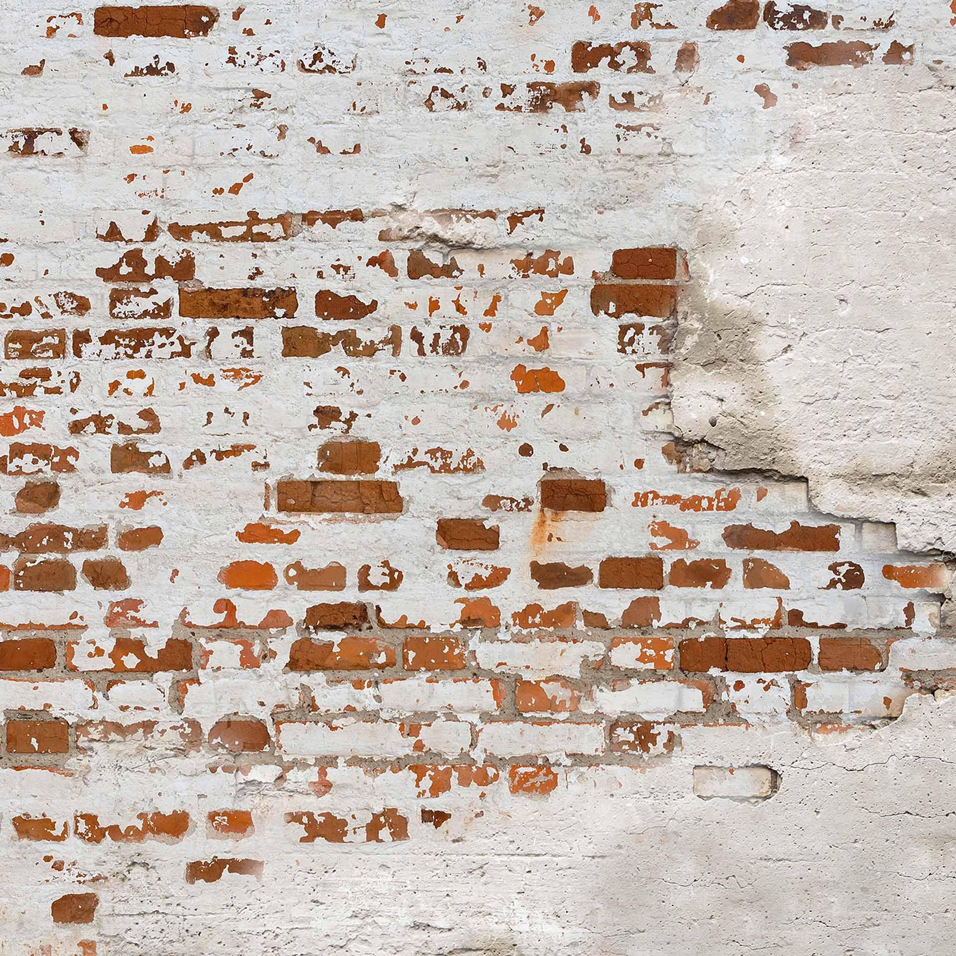 bakstenen muur WallBricks1 in grijs bruin - vliesbehang Designwalls 2 - 2,55 x 3,5 m