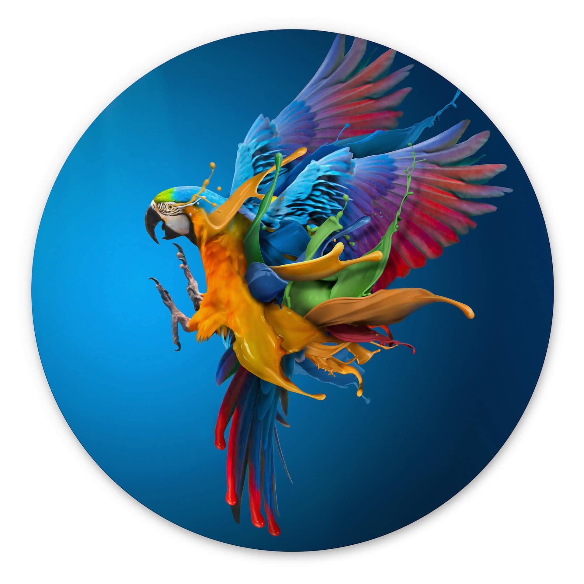 Tableau sur alu-Dibond rond Almawash - Le perroquet et le jeu des couleurs
