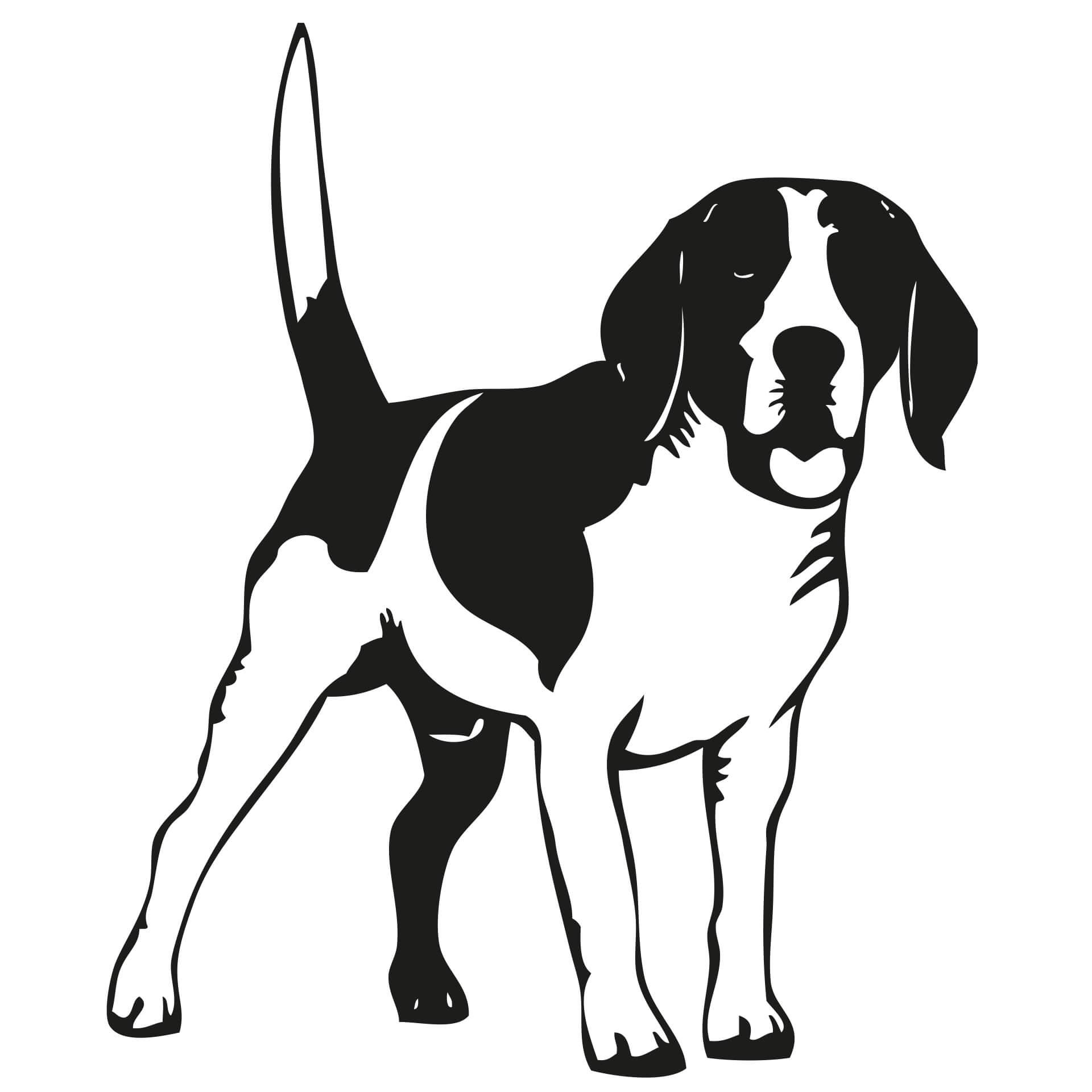 Muursticker Beagle 2