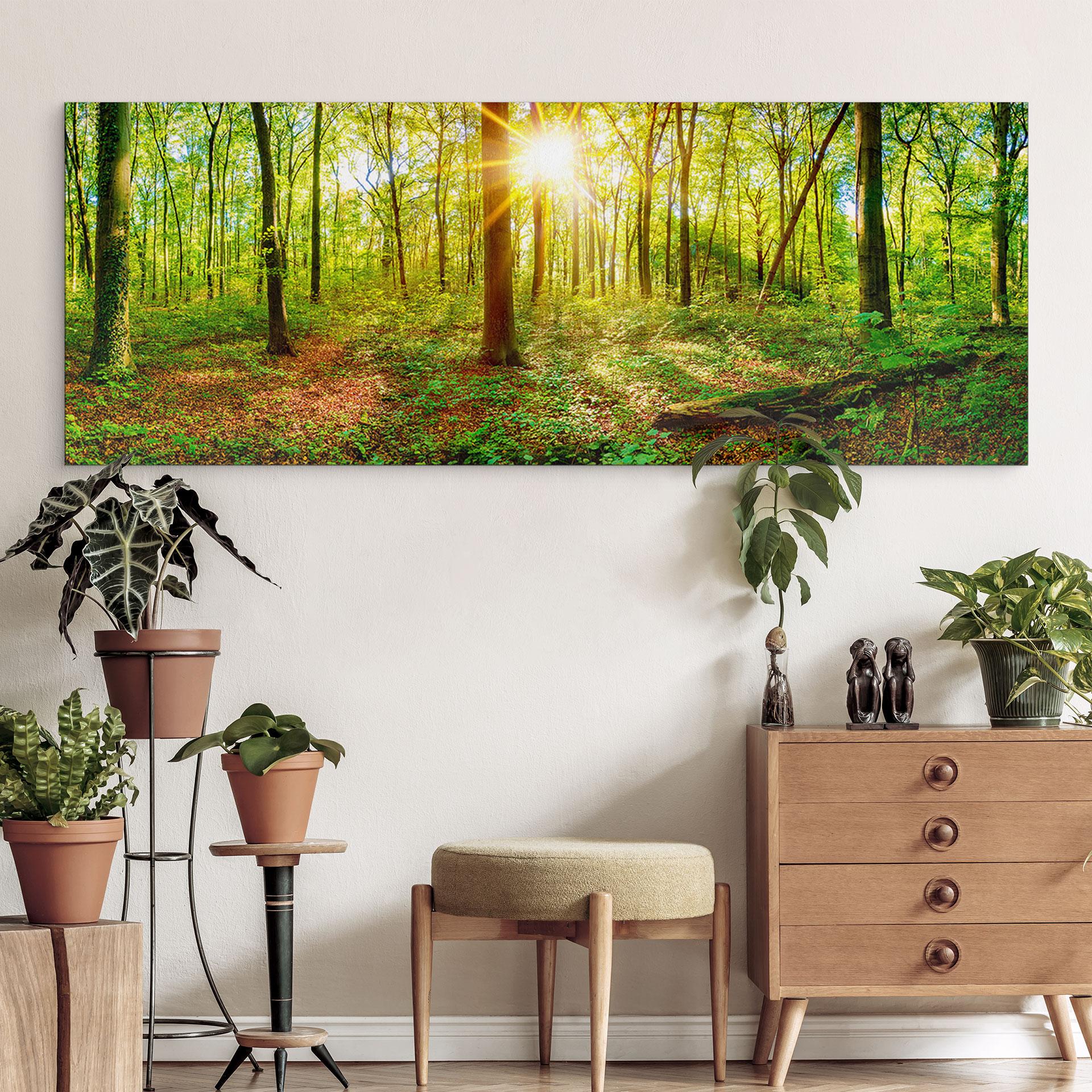 Wandbild Tief im Wald - Panorama - Alu-Dibond