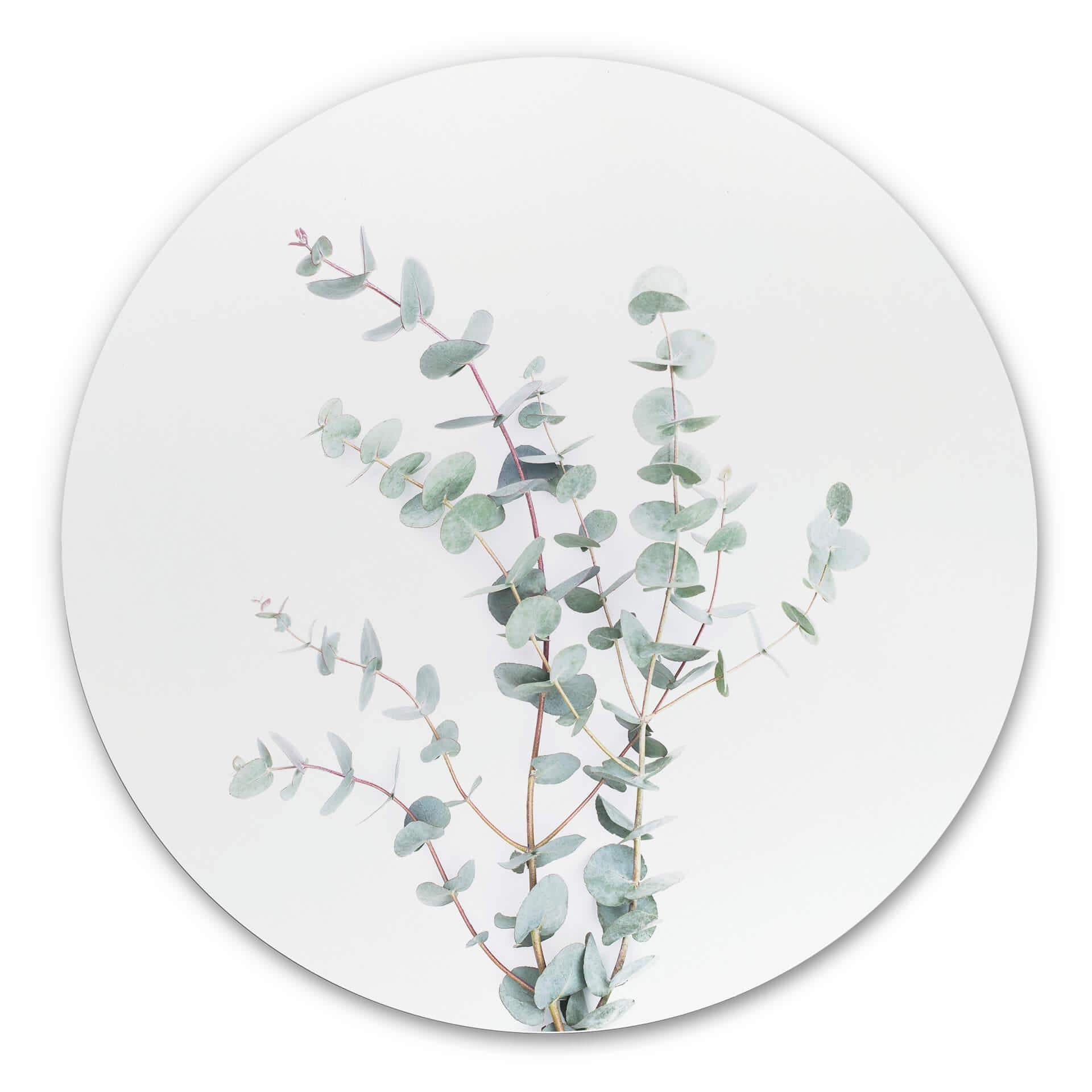 Tableau en alu-Dibond Sisi & Seb - Branche d'Eucalyptus - Rond