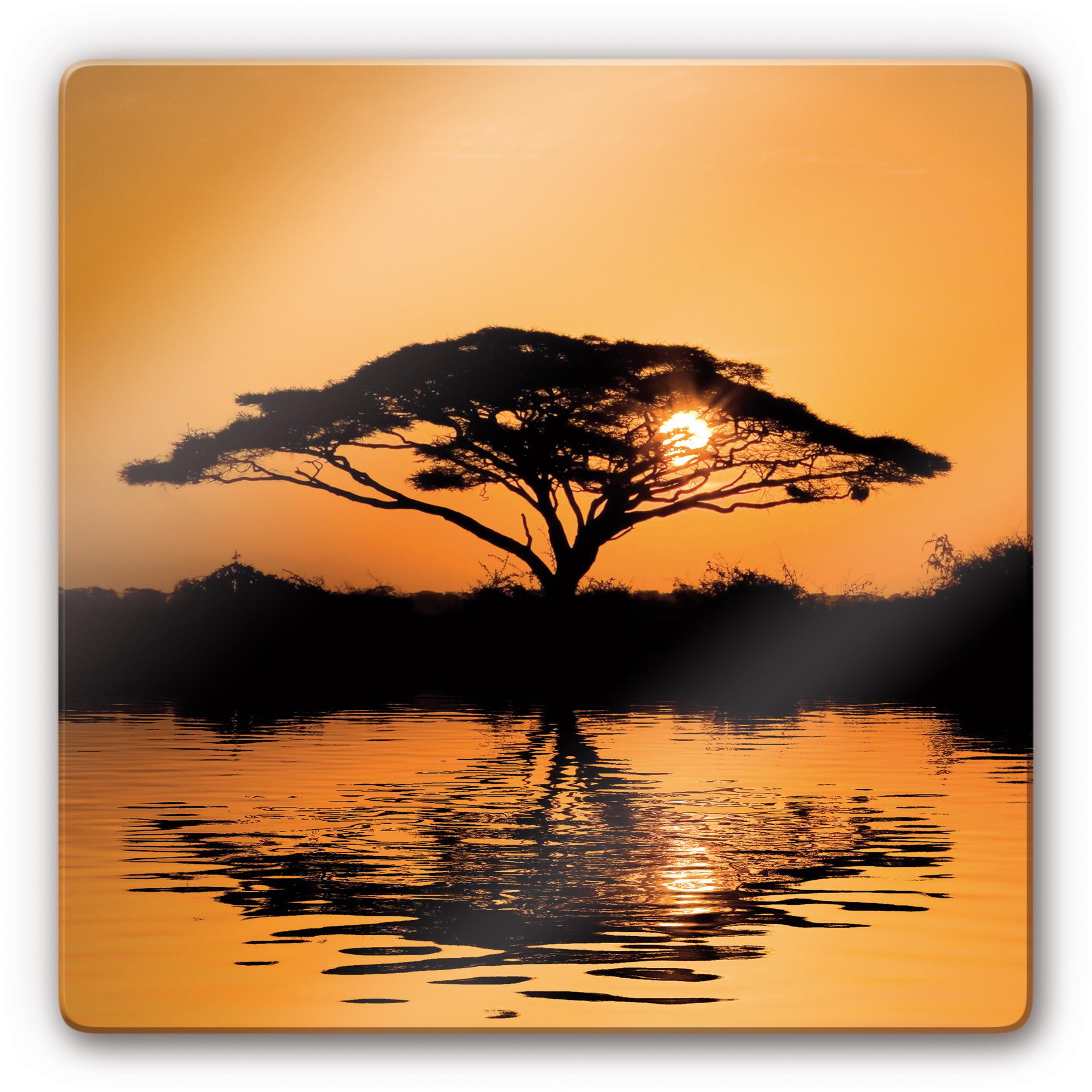 Glasbillede - Afrika