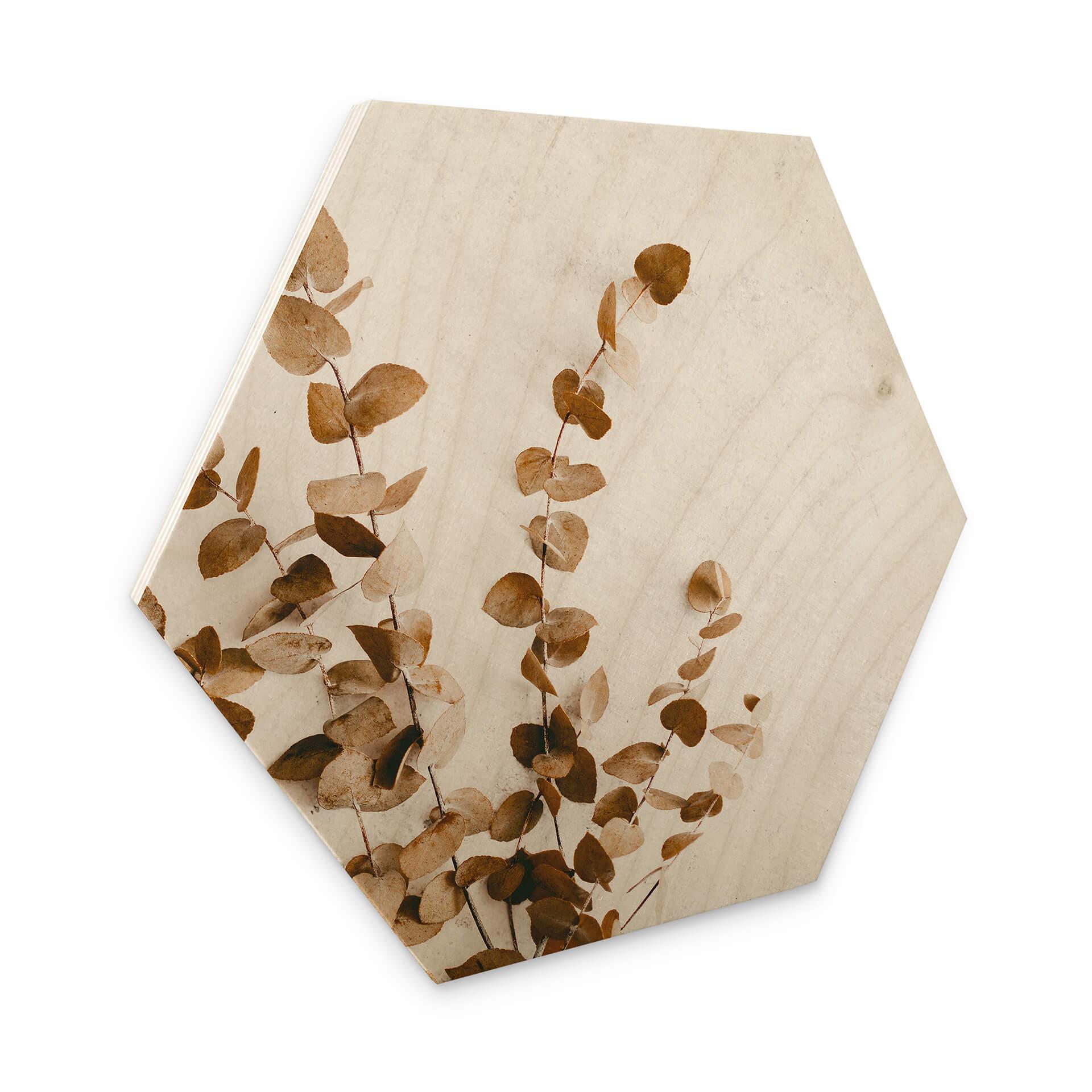 Hexagone - Bois Annie - Feuilles séchées