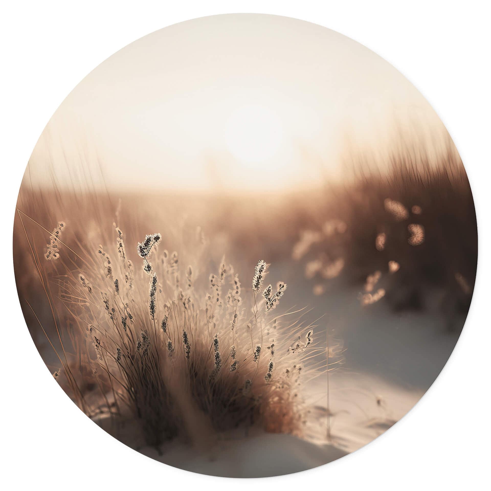 Muursticker Treechild - Zonsondergang in de Duinen