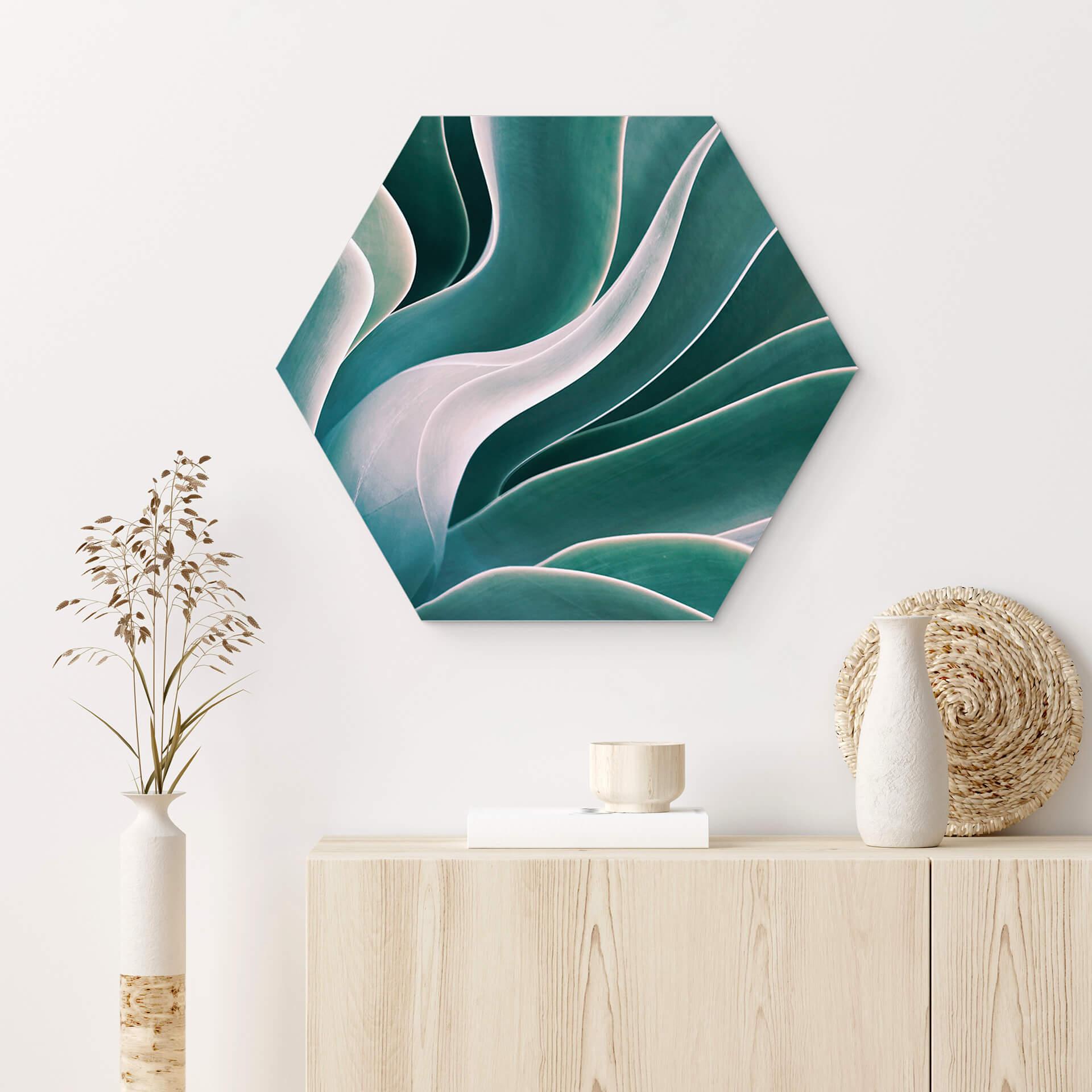 Hexagon Dibond Wechsler - Agave in het Ochtendlicht