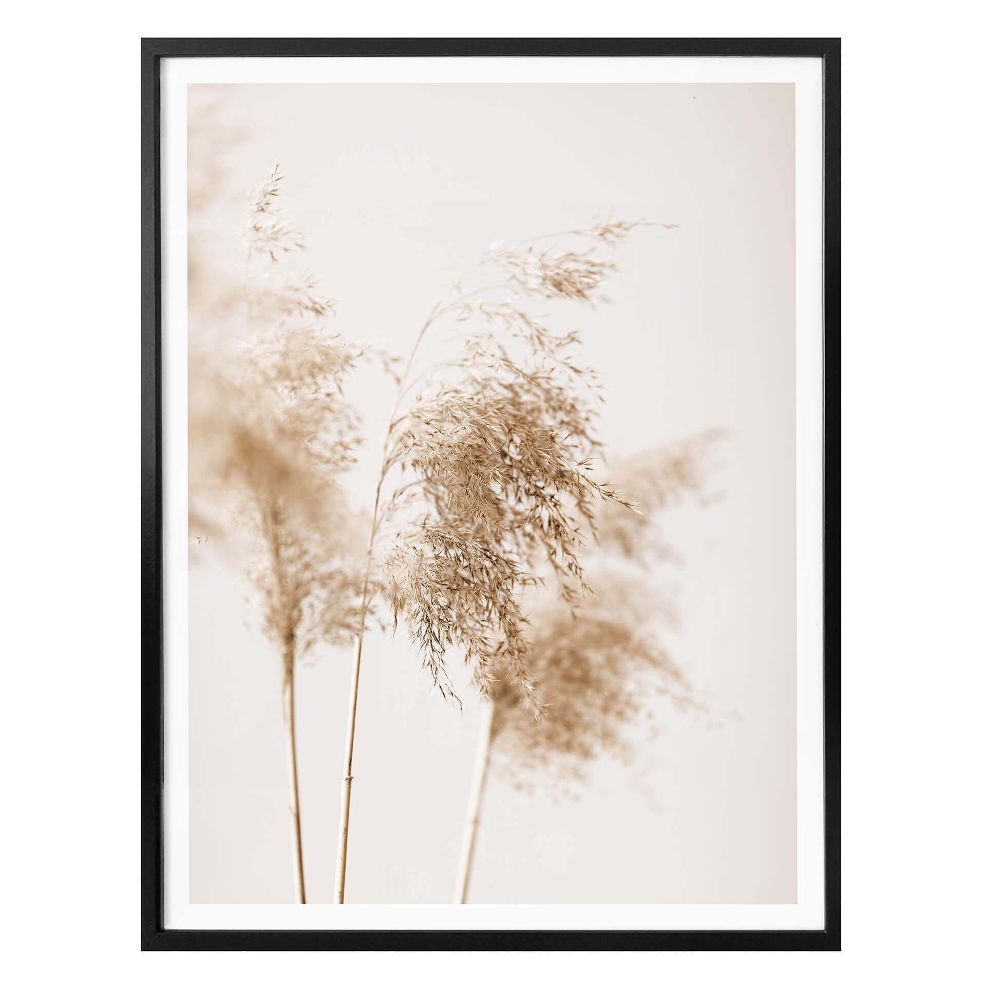 Plakat - 1X Studio - Summer Grass