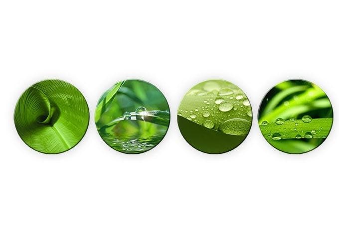 Tableau en verre - Nature set (4 parties) - Rond